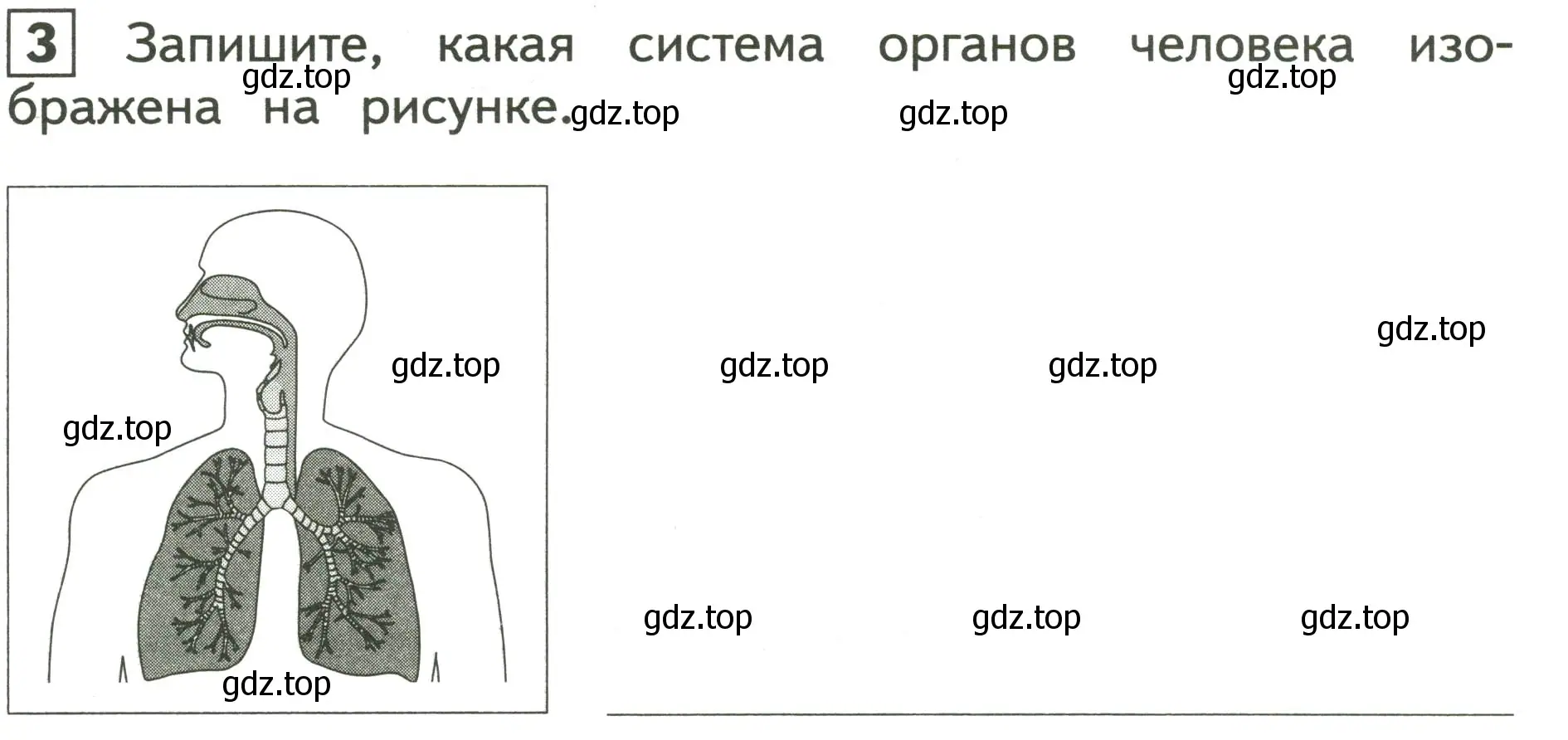 Условие номер 3 (страница 28) гдз по окружающему миру 3 класс Глаголева, Архипова, предварителный, текущий, итоговый контроль