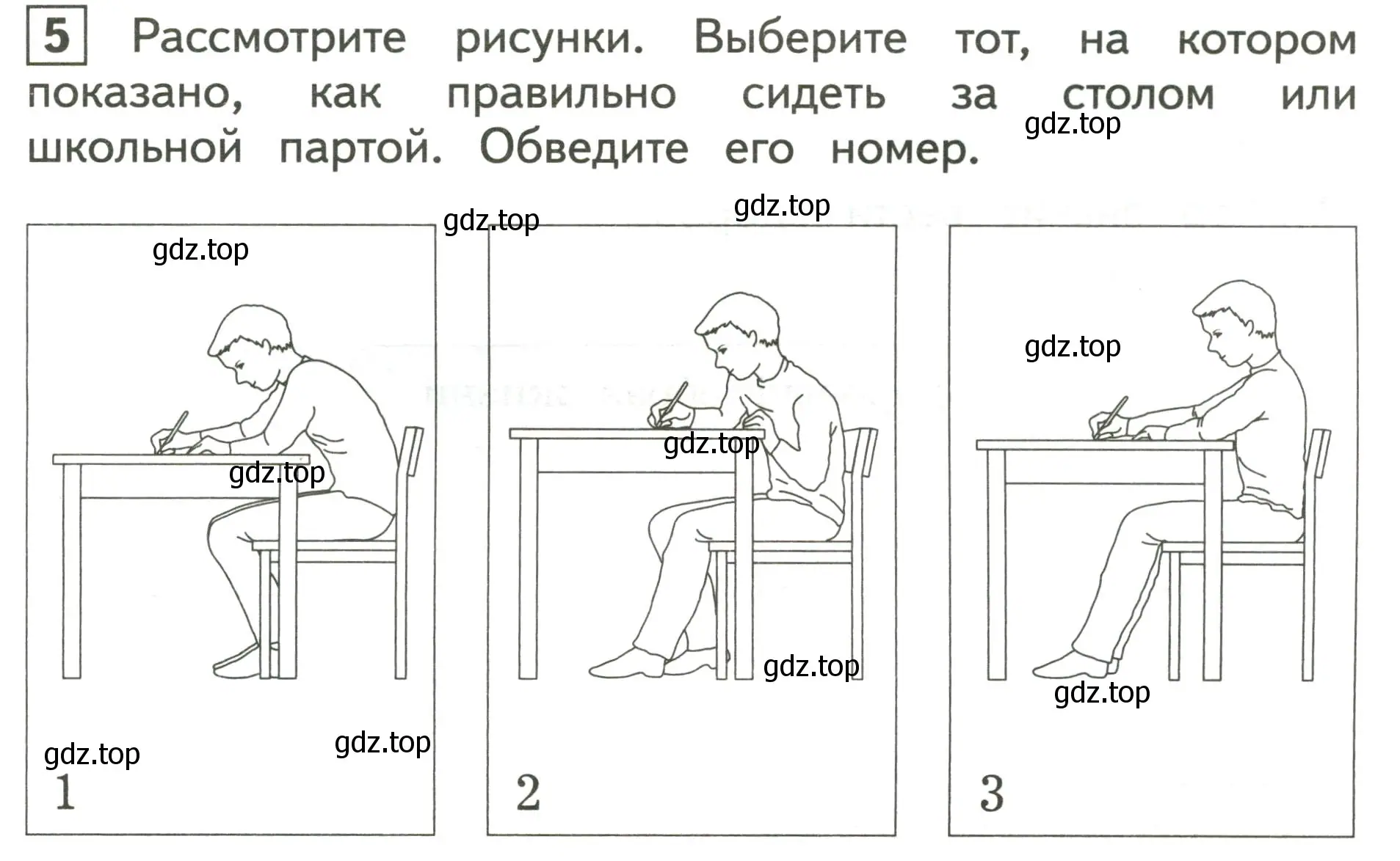 Условие номер 5 (страница 31) гдз по окружающему миру 3 класс Глаголева, Архипова, предварителный, текущий, итоговый контроль