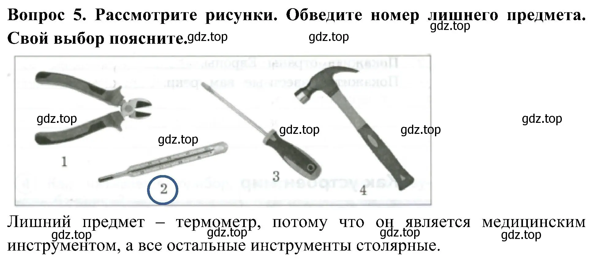 Решение номер 5 (страница 4) гдз по окружающему миру 3 класс Глаголева, Архипова, предварителный, текущий, итоговый контроль