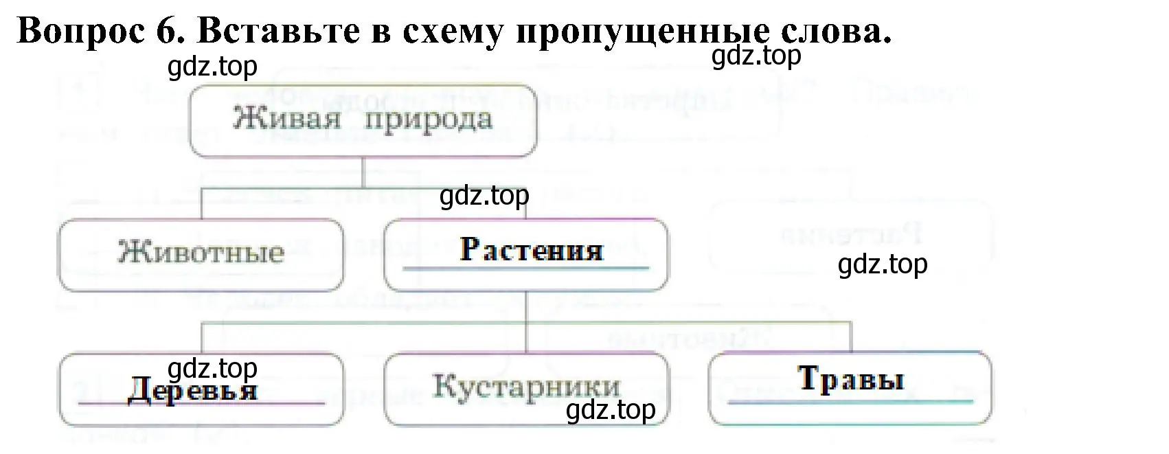 Решение номер 6 (страница 5) гдз по окружающему миру 3 класс Глаголева, Архипова, предварителный, текущий, итоговый контроль