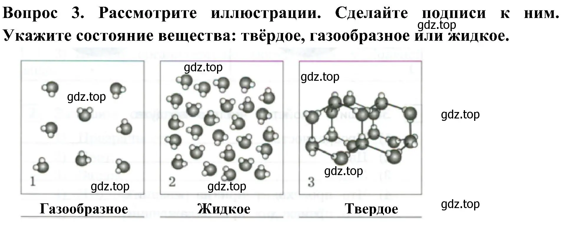 Решение номер 3 (страница 13) гдз по окружающему миру 3 класс Глаголева, Архипова, предварителный, текущий, итоговый контроль