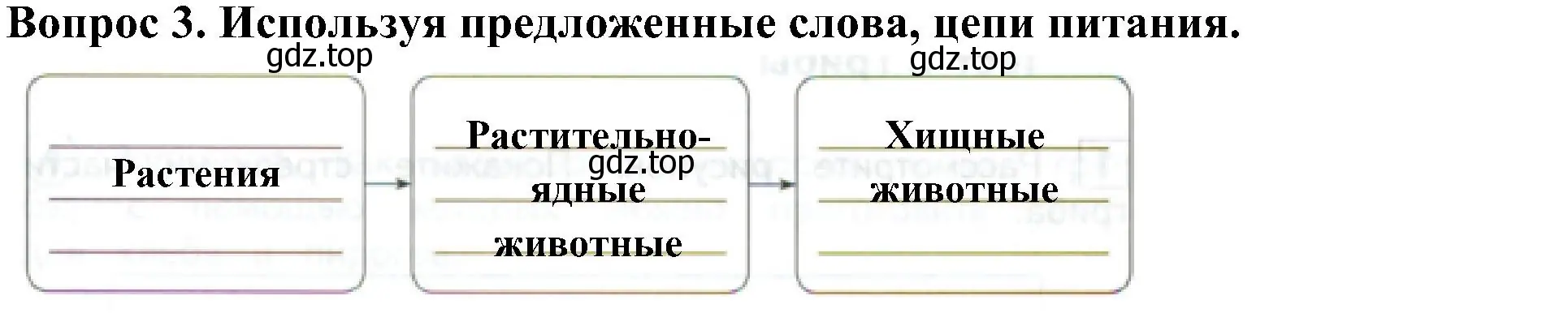 Решение номер 3 (страница 19) гдз по окружающему миру 3 класс Глаголева, Архипова, предварителный, текущий, итоговый контроль