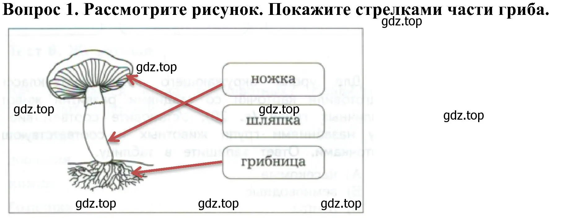 Решение номер 1 (страница 20) гдз по окружающему миру 3 класс Глаголева, Архипова, предварителный, текущий, итоговый контроль