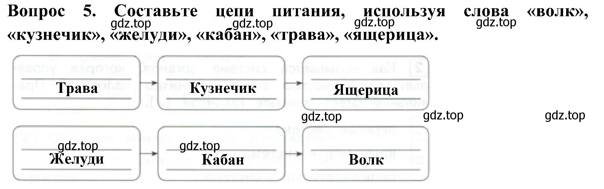 Решение номер 5 (страница 25) гдз по окружающему миру 3 класс Глаголева, Архипова, предварителный, текущий, итоговый контроль