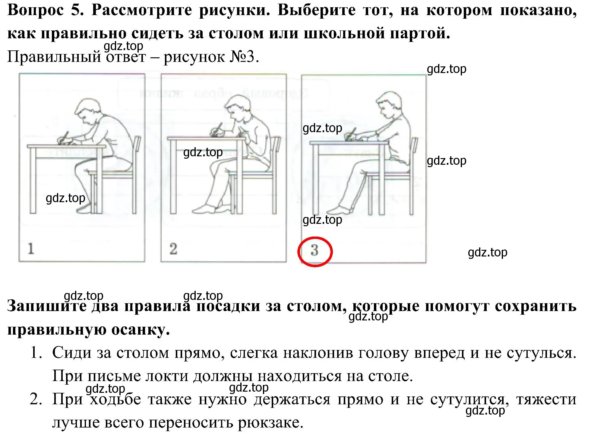 Решение номер 5 (страница 31) гдз по окружающему миру 3 класс Глаголева, Архипова, предварителный, текущий, итоговый контроль