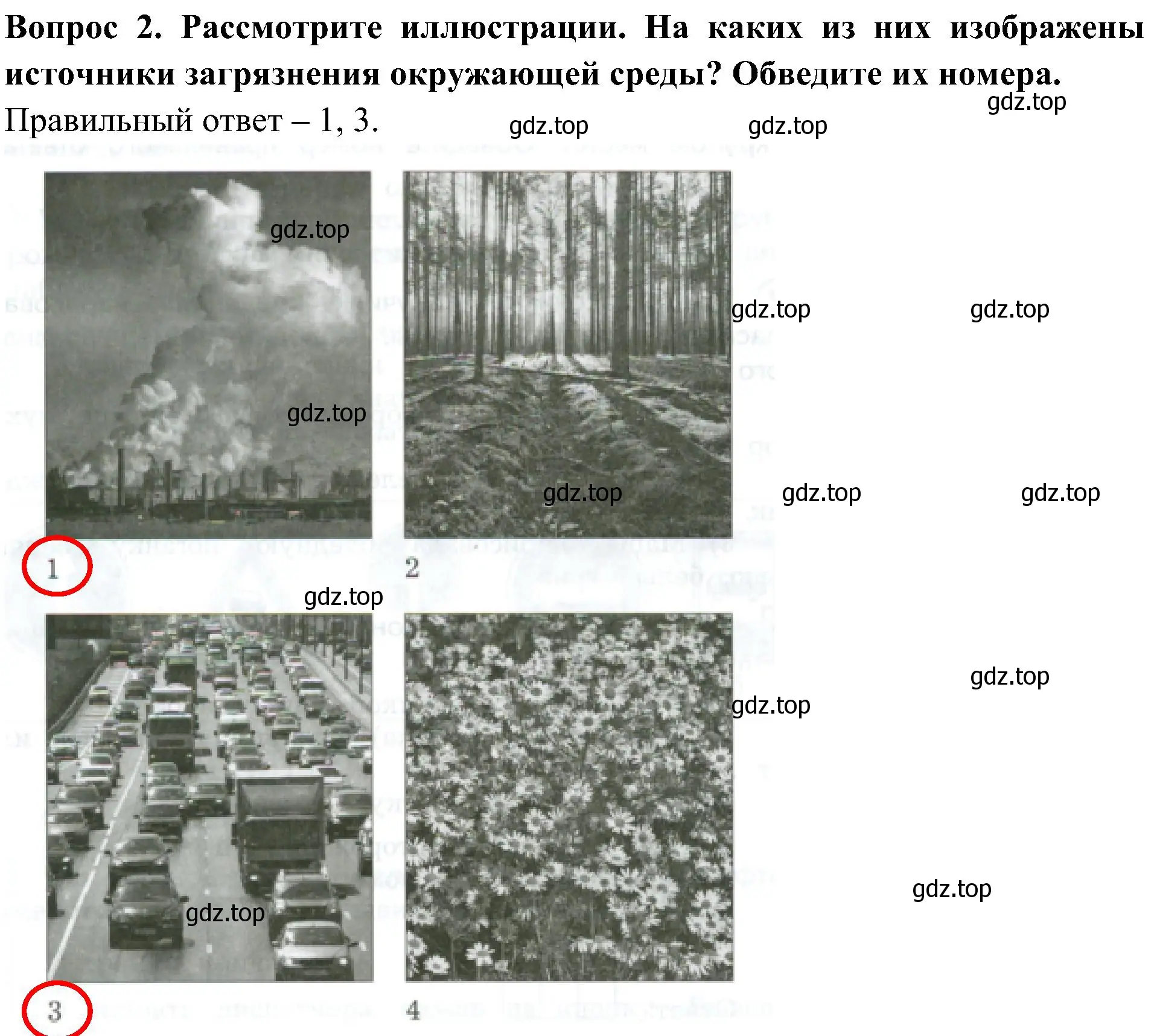 Решение номер 2 (страница 36) гдз по окружающему миру 3 класс Глаголева, Архипова, предварителный, текущий, итоговый контроль