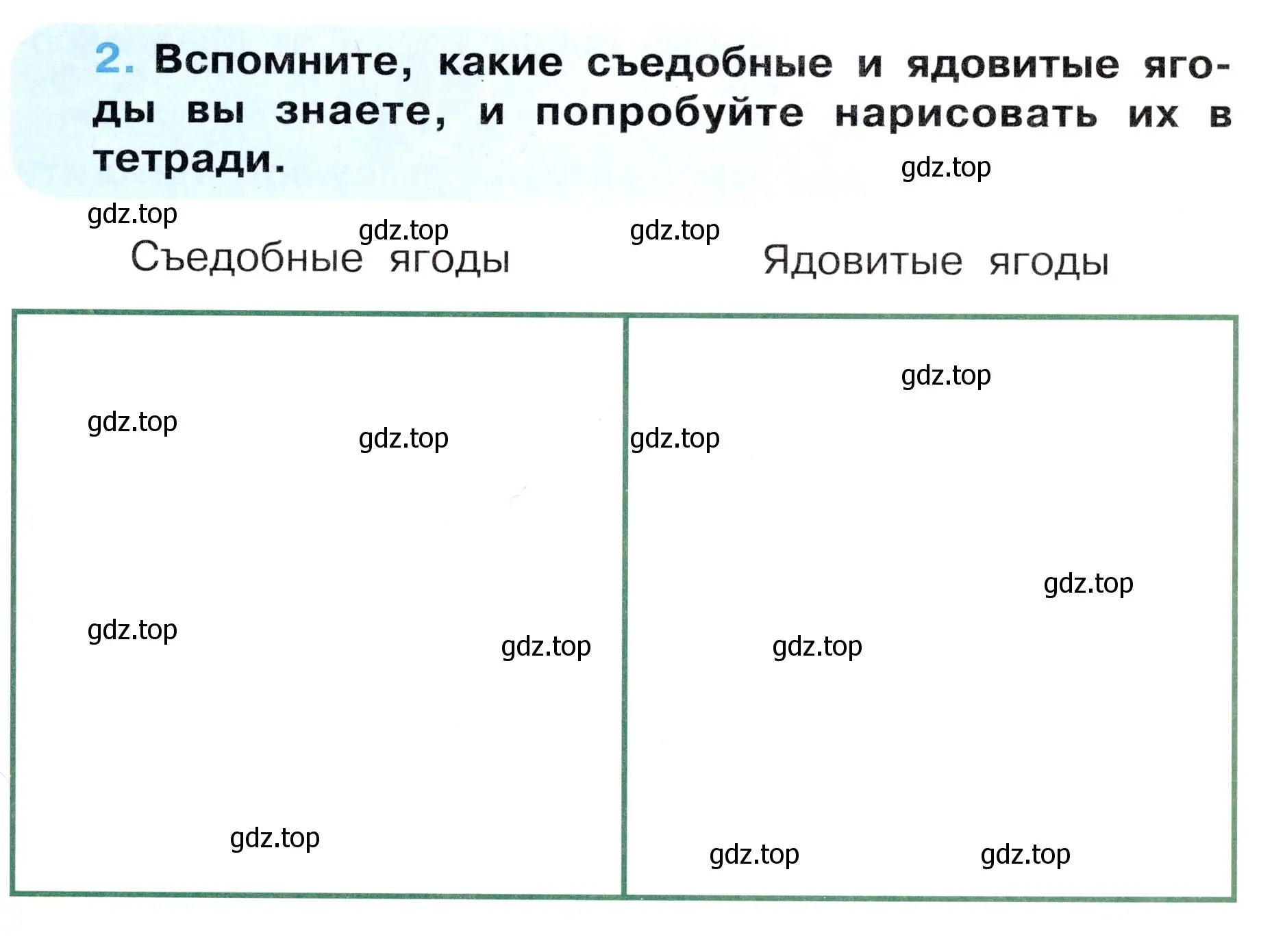 Условие номер 2 (страница 5) гдз по окружающему миру 3 класс Ижевский, рабочая тетрадь