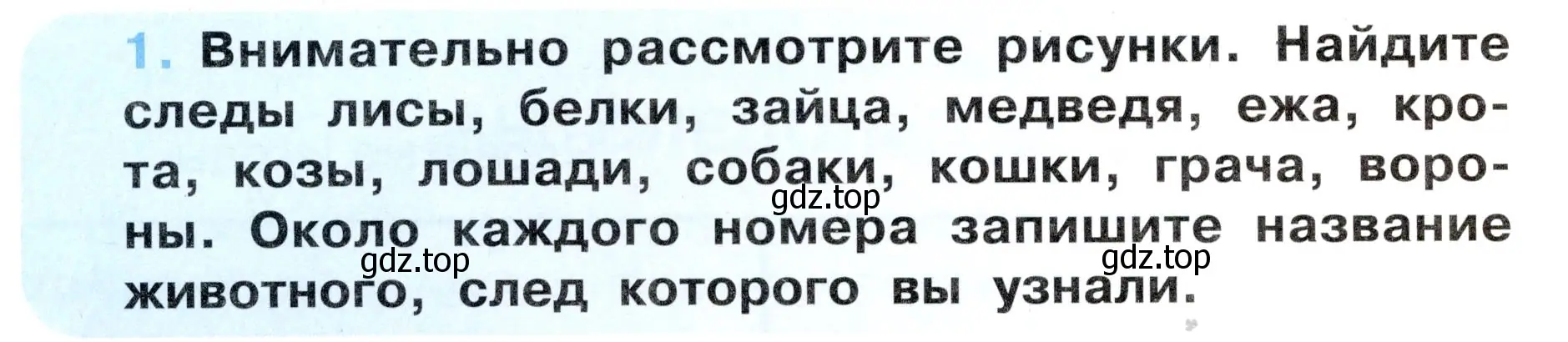 Условие номер 1 (страница 6) гдз по окружающему миру 3 класс Ижевский, рабочая тетрадь