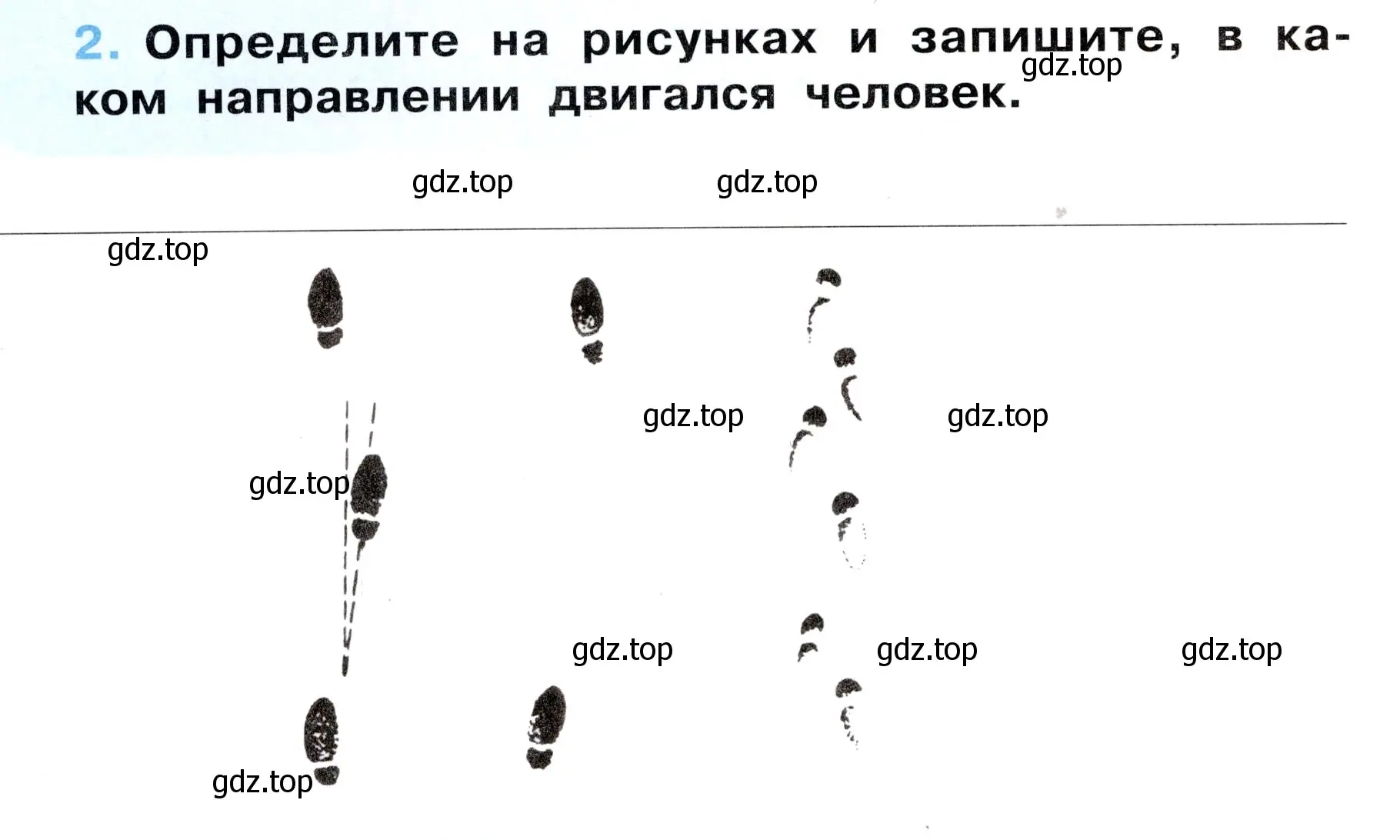 Условие номер 2 (страница 8) гдз по окружающему миру 3 класс Ижевский, рабочая тетрадь