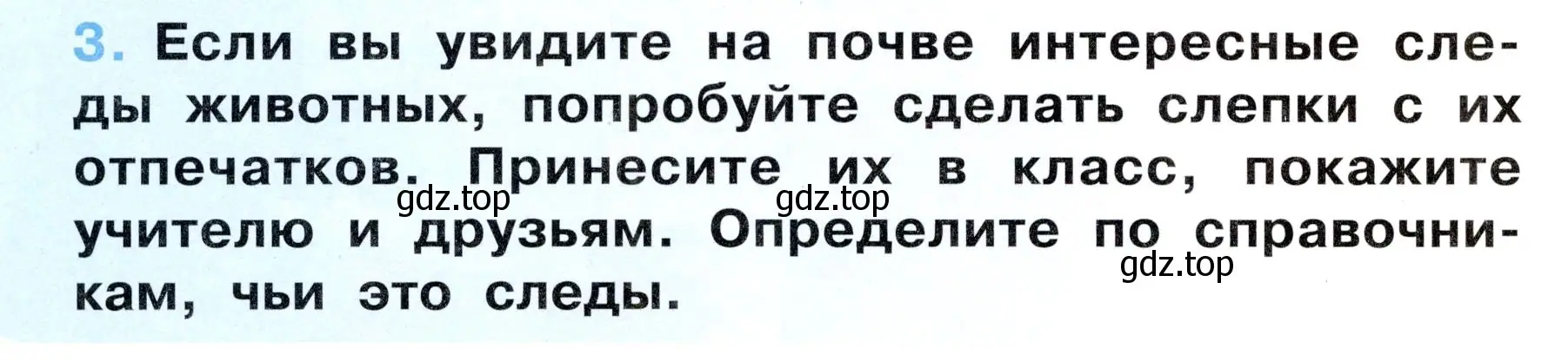 Условие номер 3 (страница 12) гдз по окружающему миру 3 класс Ижевский, рабочая тетрадь