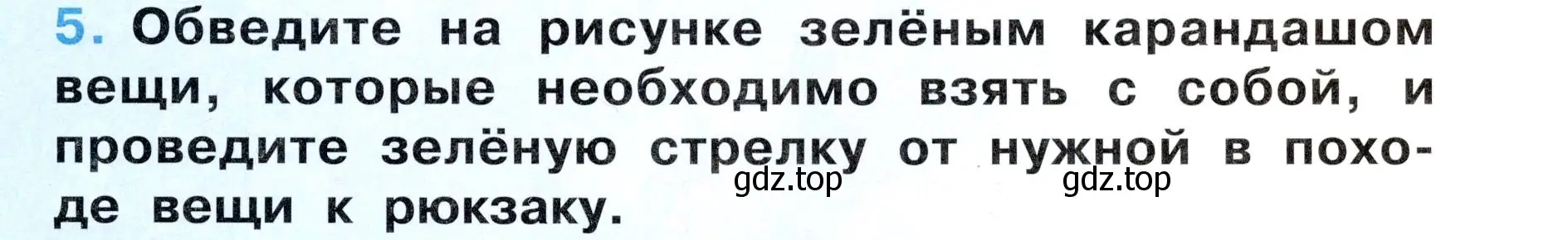 Условие номер 5 (страница 17) гдз по окружающему миру 3 класс Ижевский, рабочая тетрадь