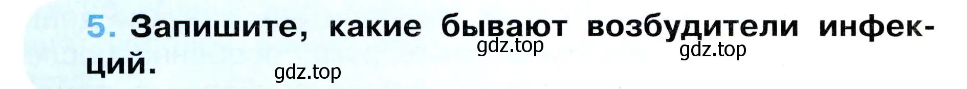 Условие номер 5 (страница 60) гдз по окружающему миру 3 класс Ижевский, рабочая тетрадь