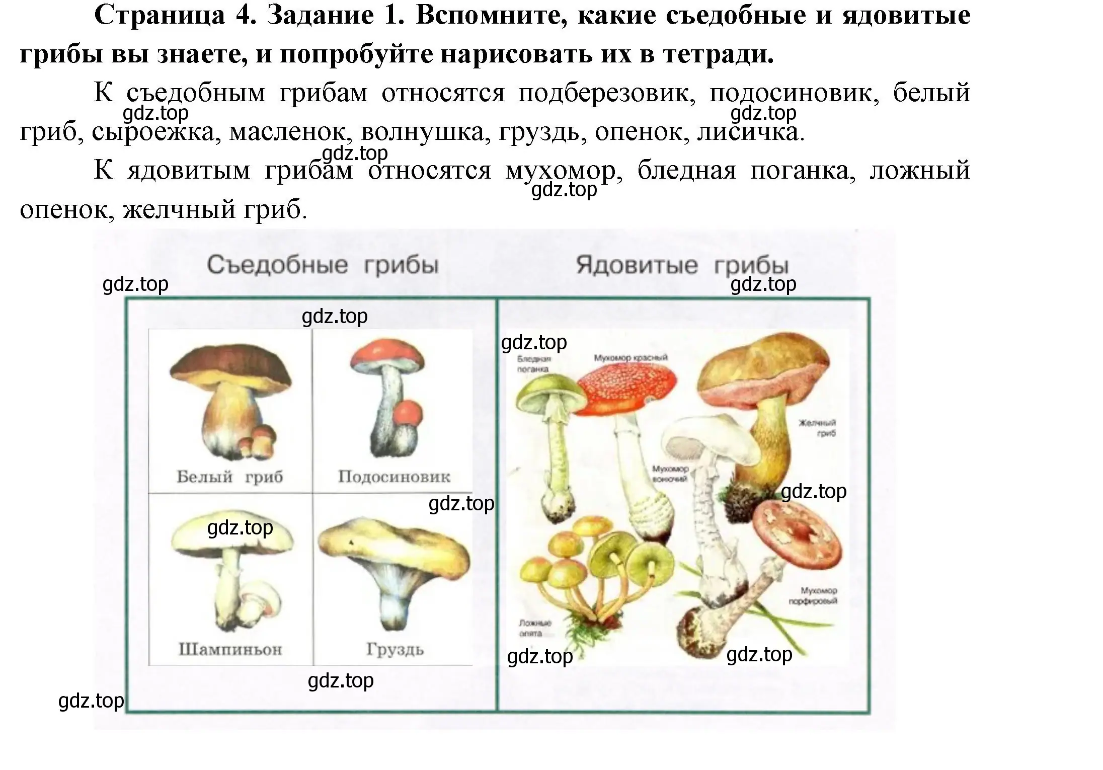 Решение номер 1 (страница 4) гдз по окружающему миру 3 класс Ижевский, рабочая тетрадь