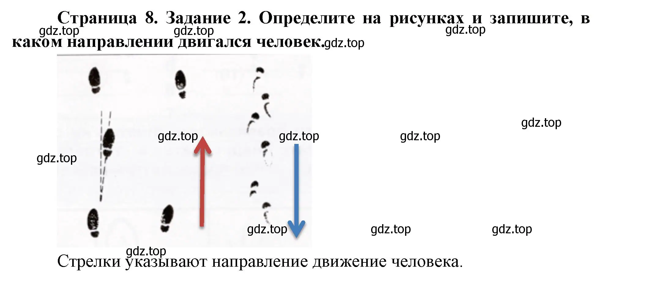 Решение номер 2 (страница 8) гдз по окружающему миру 3 класс Ижевский, рабочая тетрадь