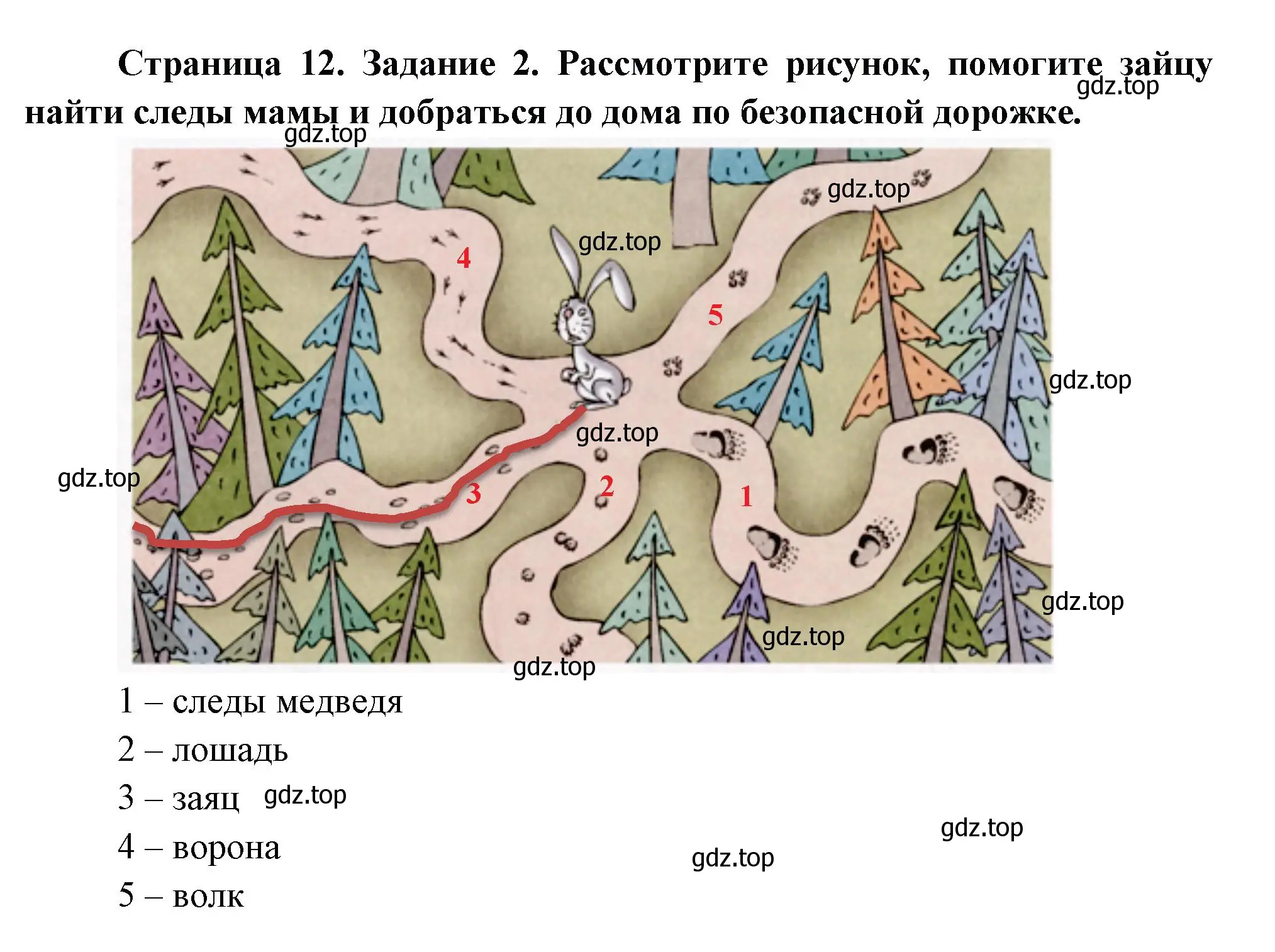 Решение номер 2 (страница 12) гдз по окружающему миру 3 класс Ижевский, рабочая тетрадь