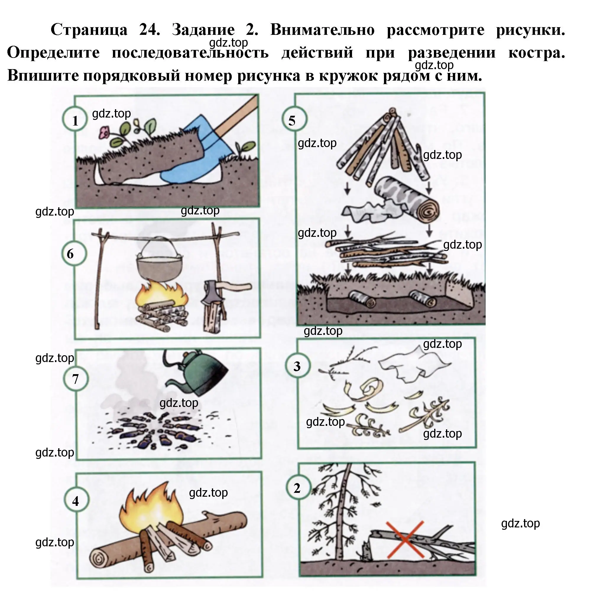 Решение номер 2 (страница 24) гдз по окружающему миру 3 класс Ижевский, рабочая тетрадь