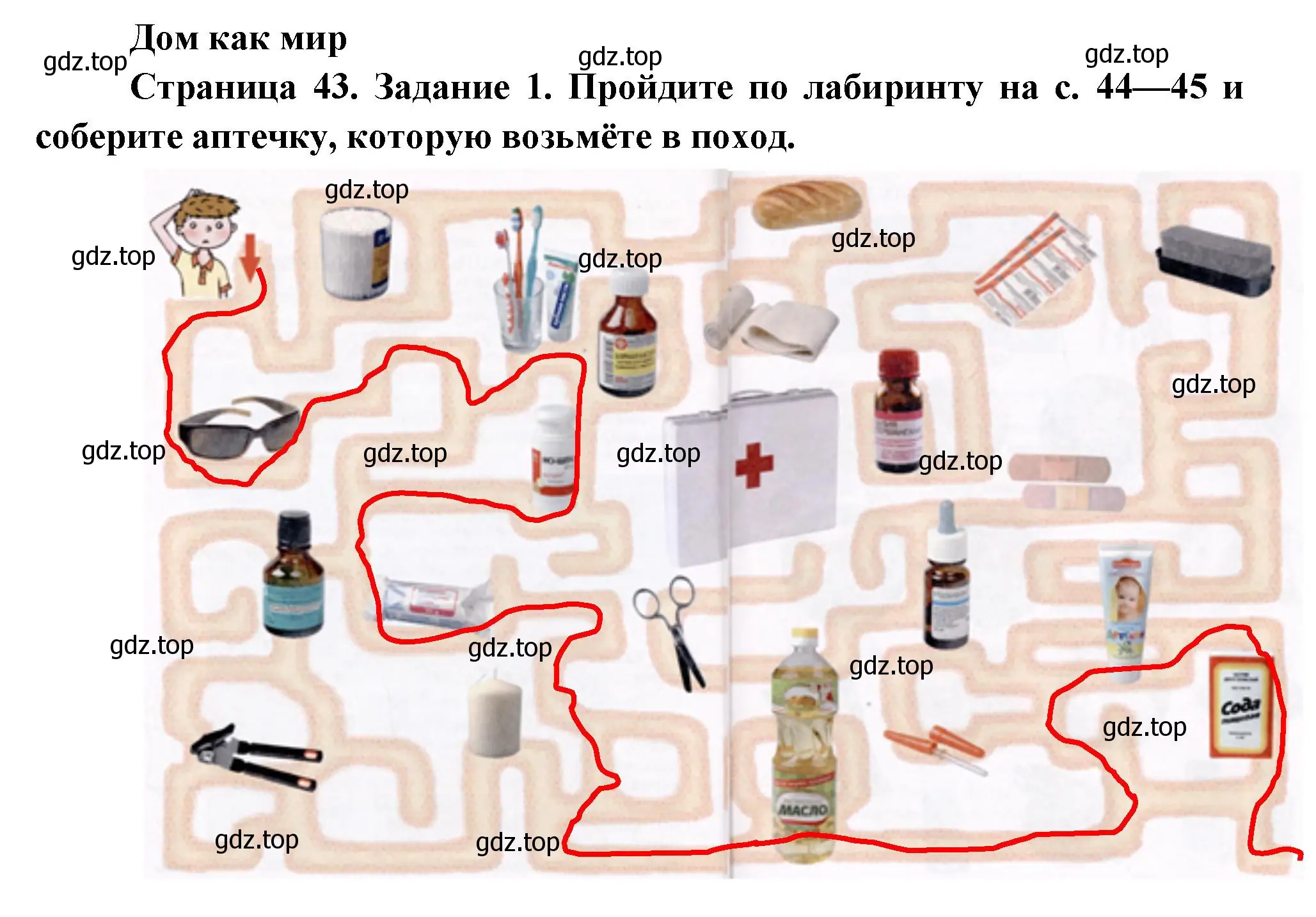 Решение номер 1 (страница 43) гдз по окружающему миру 3 класс Ижевский, рабочая тетрадь