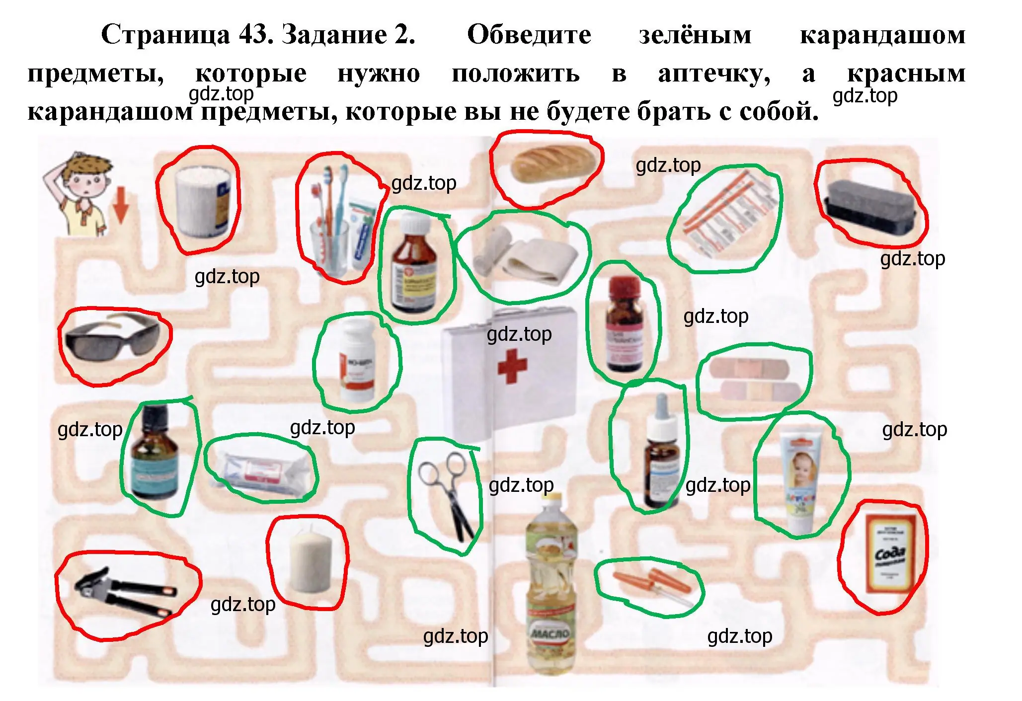 Решение номер 2 (страница 43) гдз по окружающему миру 3 класс Ижевский, рабочая тетрадь