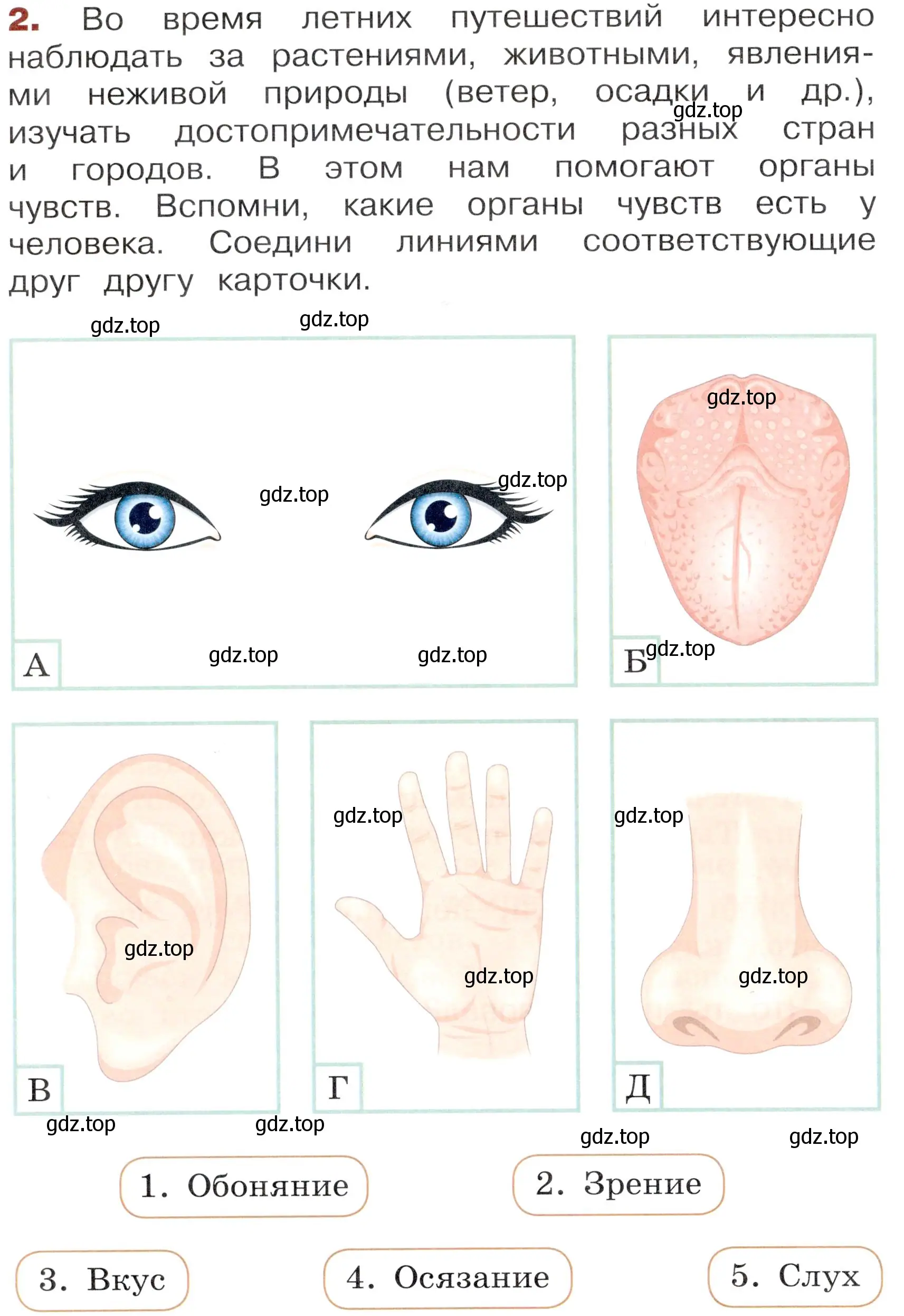 Условие номер 2 (страница 12) гдз по окружающему миру 3 класс Казанцева, Архипова, летние задания