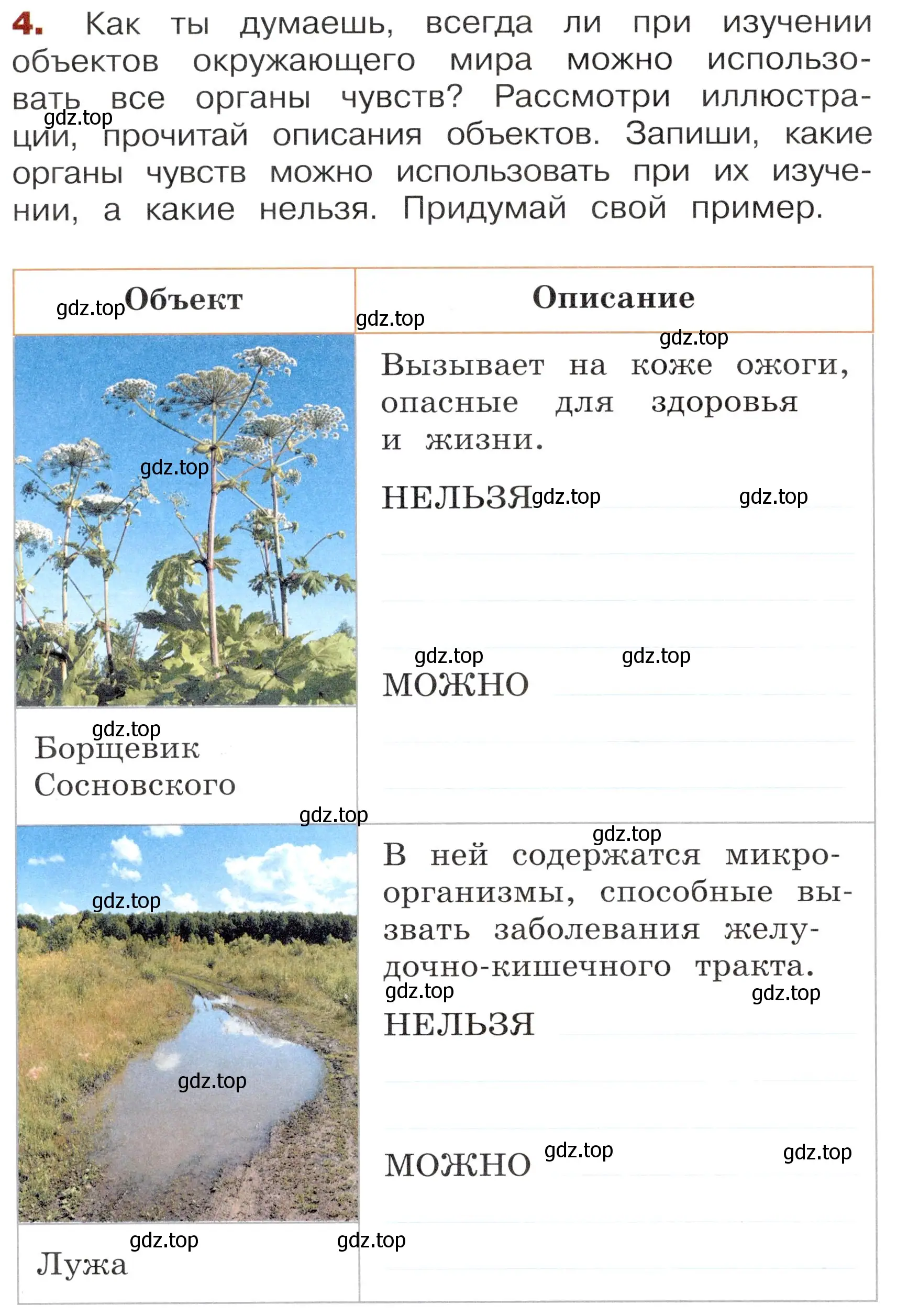 Условие номер 4 (страница 14) гдз по окружающему миру 3 класс Казанцева, Архипова, летние задания