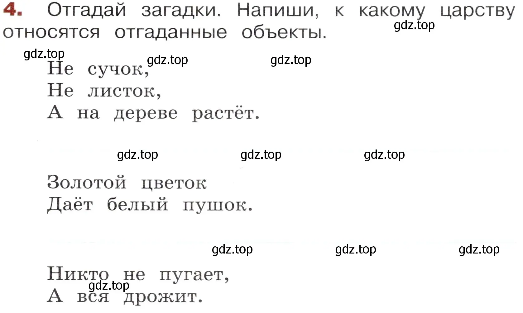 Условие номер 4 (страница 23) гдз по окружающему миру 3 класс Казанцева, Архипова, летние задания