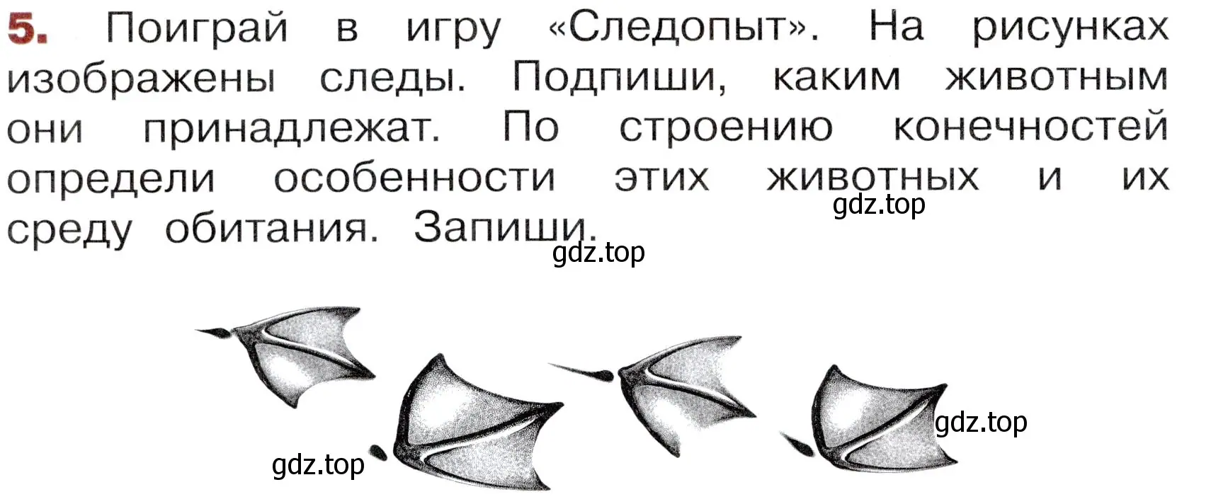 Условие номер 5 (страница 24) гдз по окружающему миру 3 класс Казанцева, Архипова, летние задания