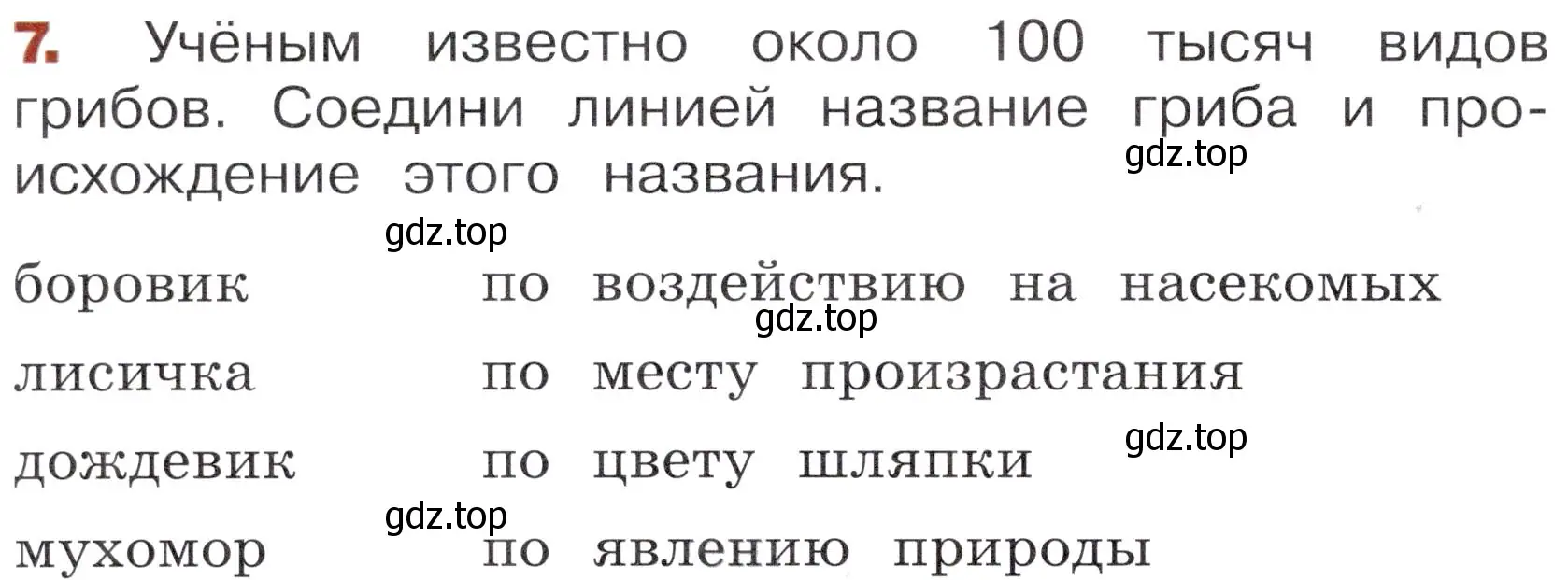 Условие номер 7 (страница 26) гдз по окружающему миру 3 класс Казанцева, Архипова, летние задания