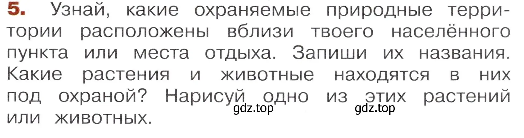 Условие номер 5 (страница 31) гдз по окружающему миру 3 класс Казанцева, Архипова, летние задания