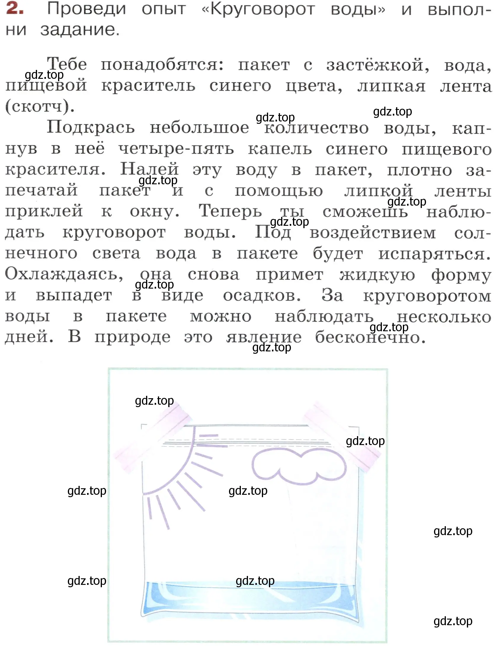 Условие номер 2 (страница 42) гдз по окружающему миру 3 класс Казанцева, Архипова, летние задания