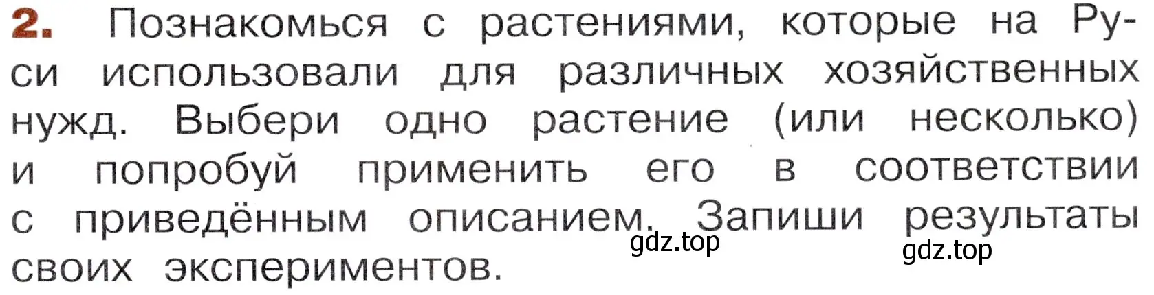 Условие номер 2 (страница 49) гдз по окружающему миру 3 класс Казанцева, Архипова, летние задания