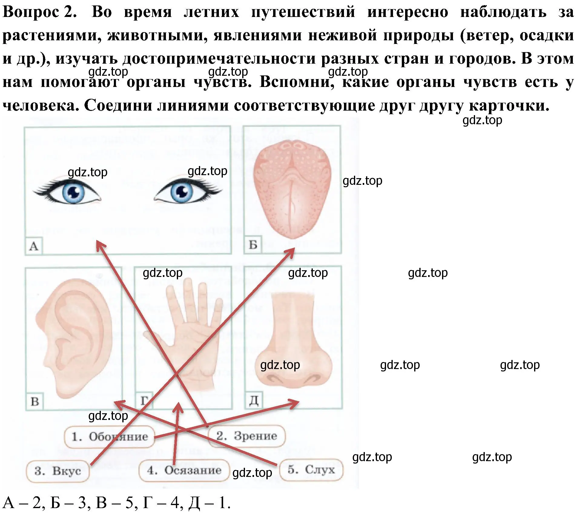 Решение номер 2 (страница 12) гдз по окружающему миру 3 класс Казанцева, Архипова, летние задания