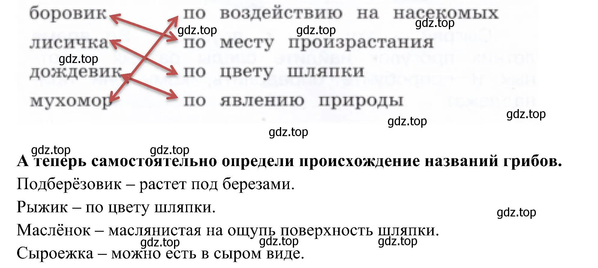 Решение номер 7 (страница 26) гдз по окружающему миру 3 класс Казанцева, Архипова, летние задания