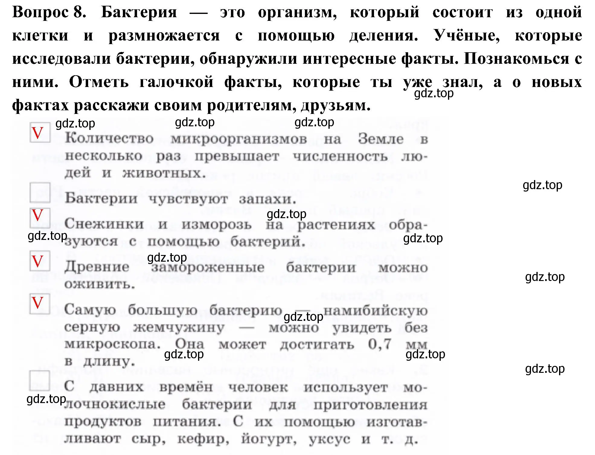 Решение номер 8 (страница 27) гдз по окружающему миру 3 класс Казанцева, Архипова, летние задания