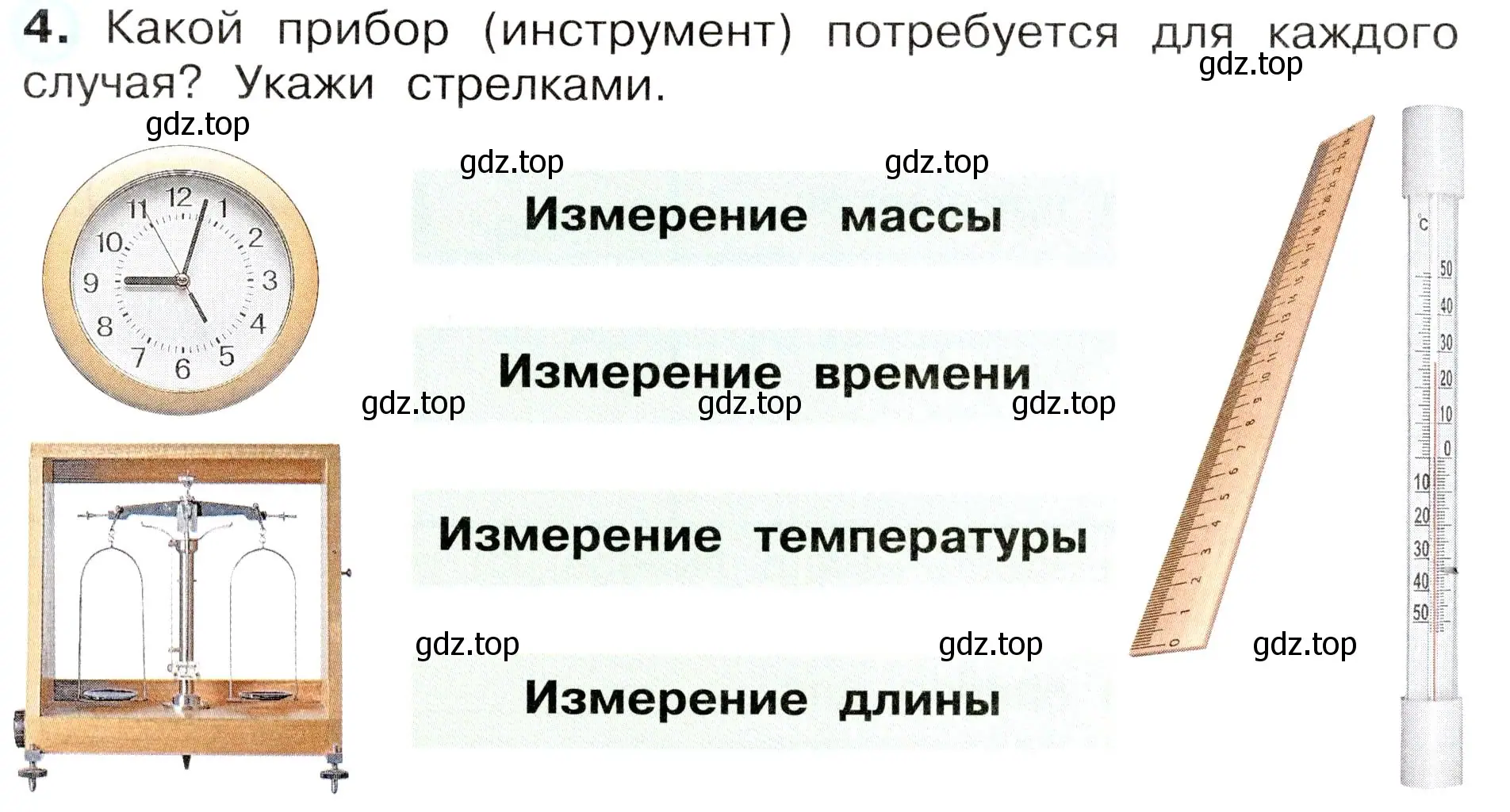 Условие номер 4 (страница 9) гдз по окружающему миру 3 класс Плешаков, Новицкая, рабочая тетрадь 1 часть