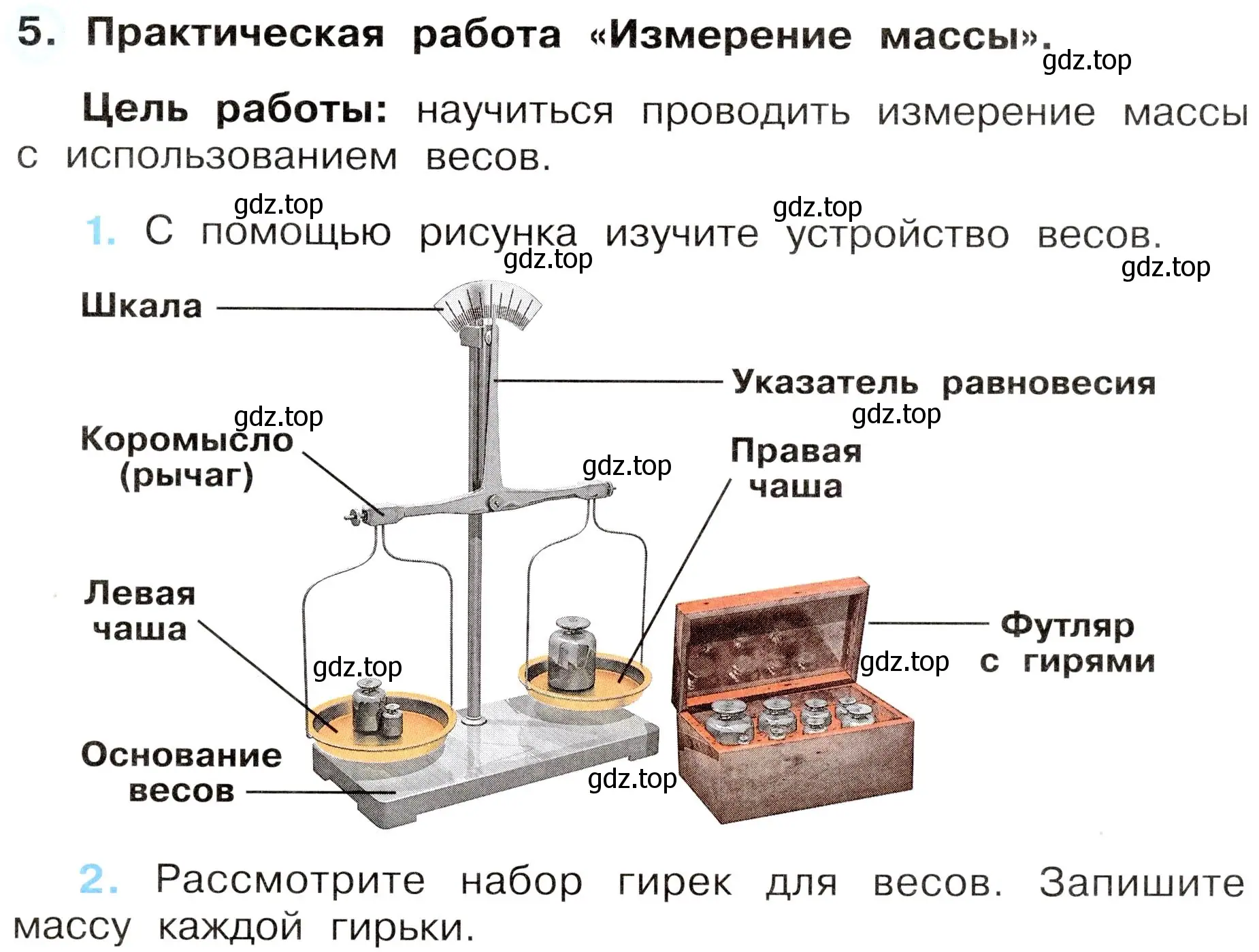 Условие номер 5 (страница 9) гдз по окружающему миру 3 класс Плешаков, Новицкая, рабочая тетрадь 1 часть