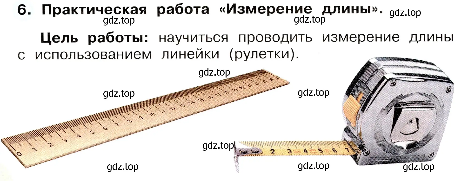 Условие номер 6 (страница 10) гдз по окружающему миру 3 класс Плешаков, Новицкая, рабочая тетрадь 1 часть