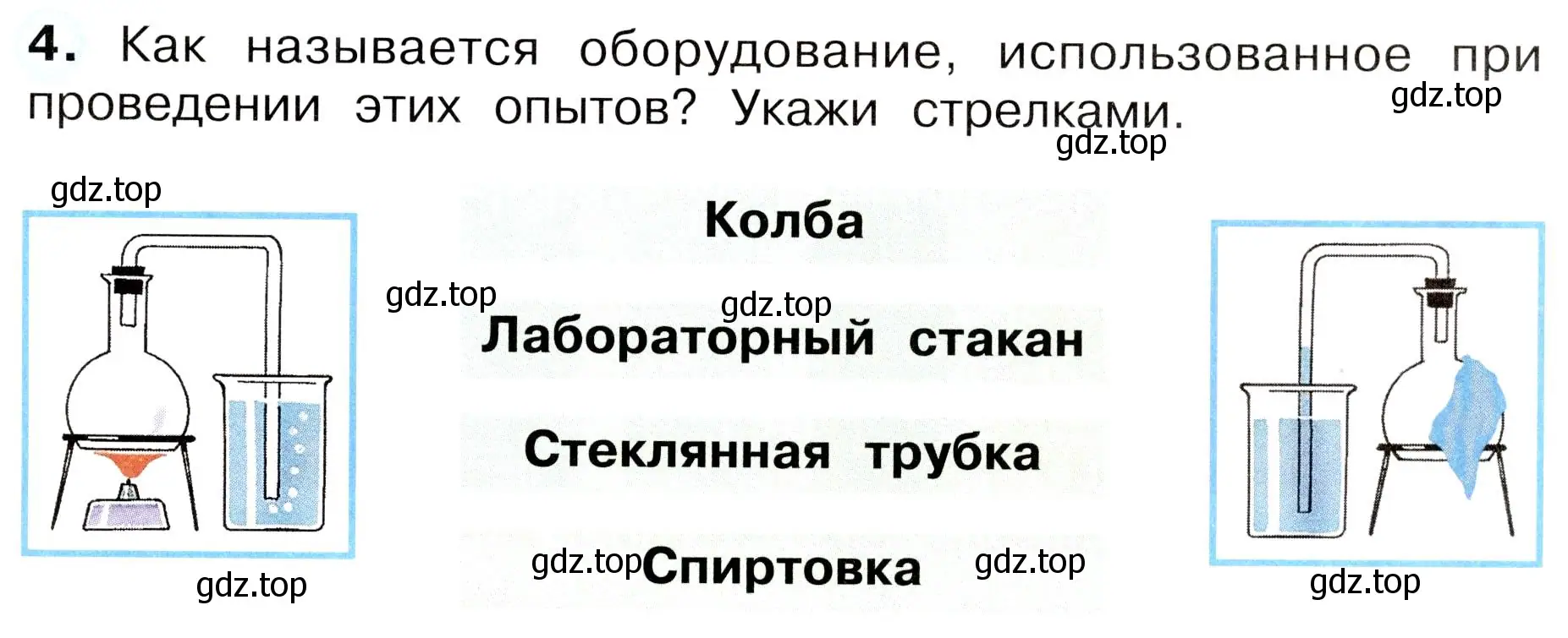 Условие номер 4 (страница 43) гдз по окружающему миру 3 класс Плешаков, Новицкая, рабочая тетрадь 1 часть