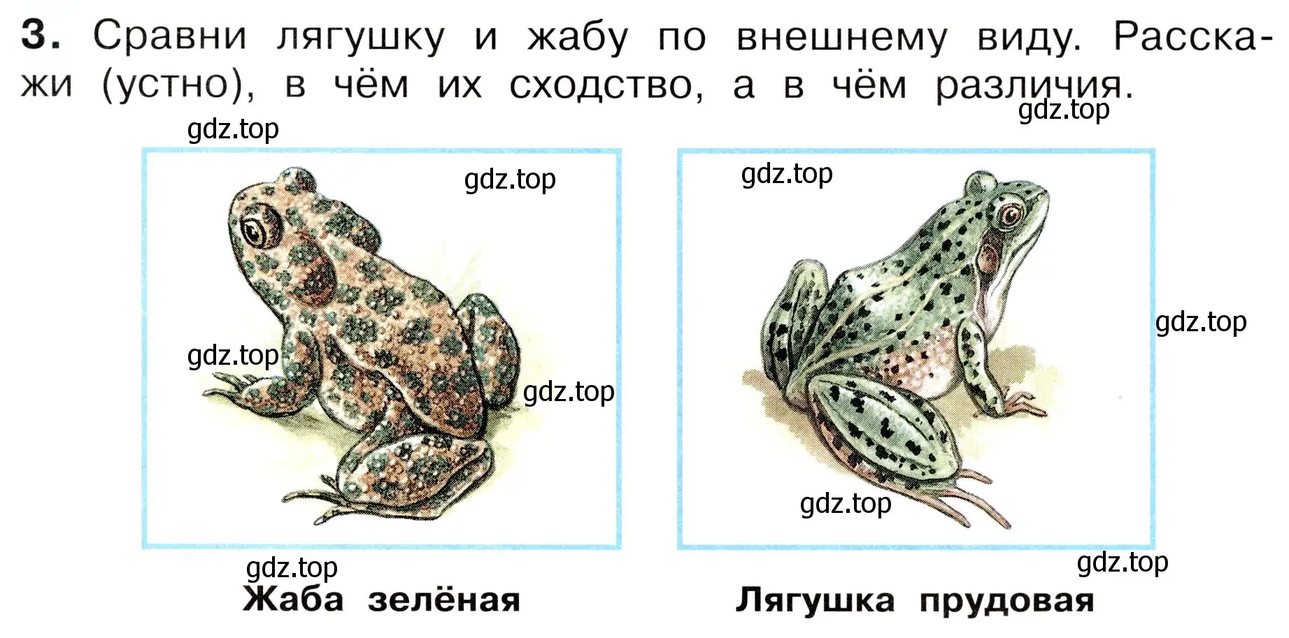 Условие номер 3 (страница 59) гдз по окружающему миру 3 класс Плешаков, Новицкая, рабочая тетрадь 1 часть