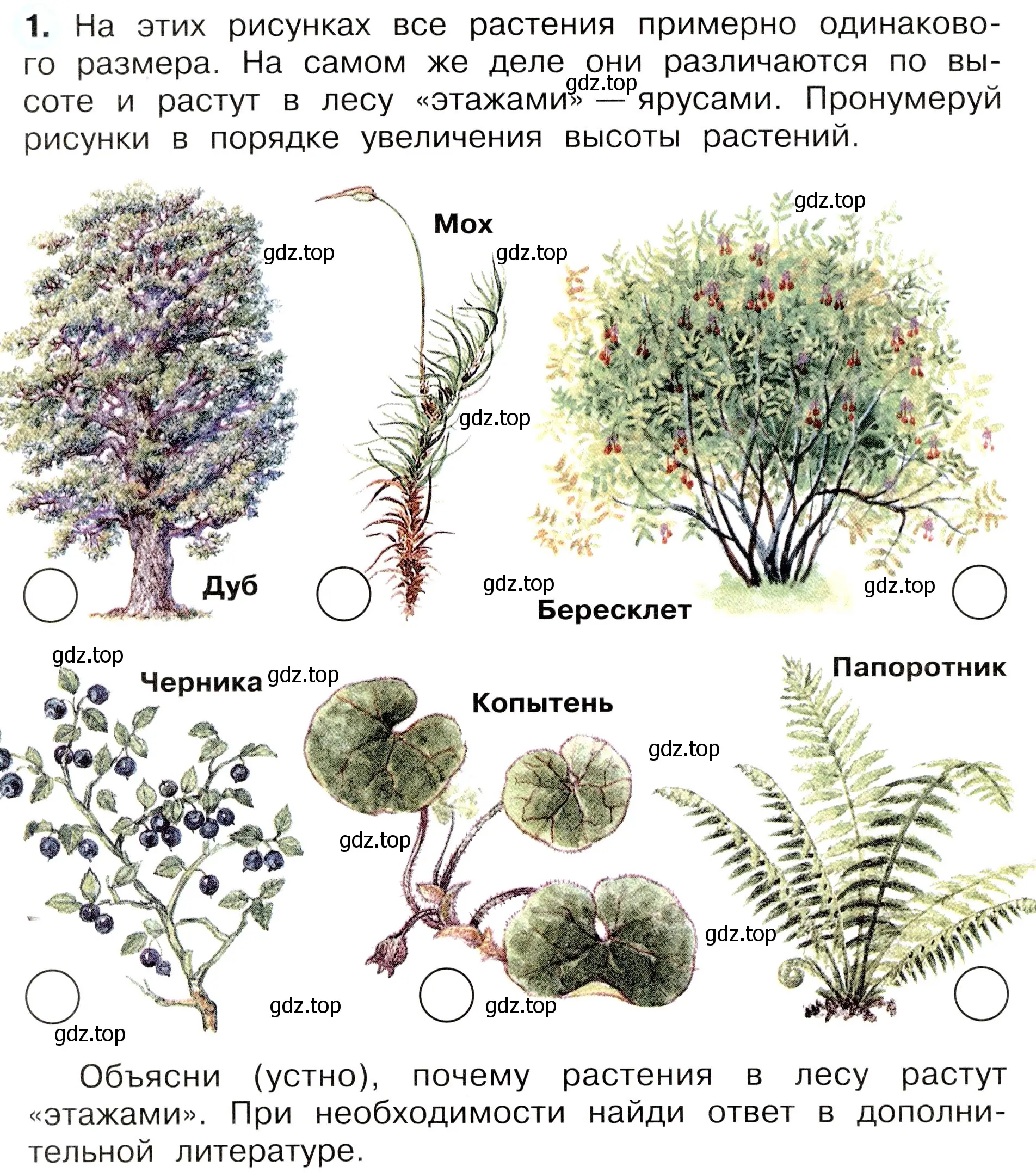 Условие номер 1 (страница 68) гдз по окружающему миру 3 класс Плешаков, Новицкая, рабочая тетрадь 1 часть