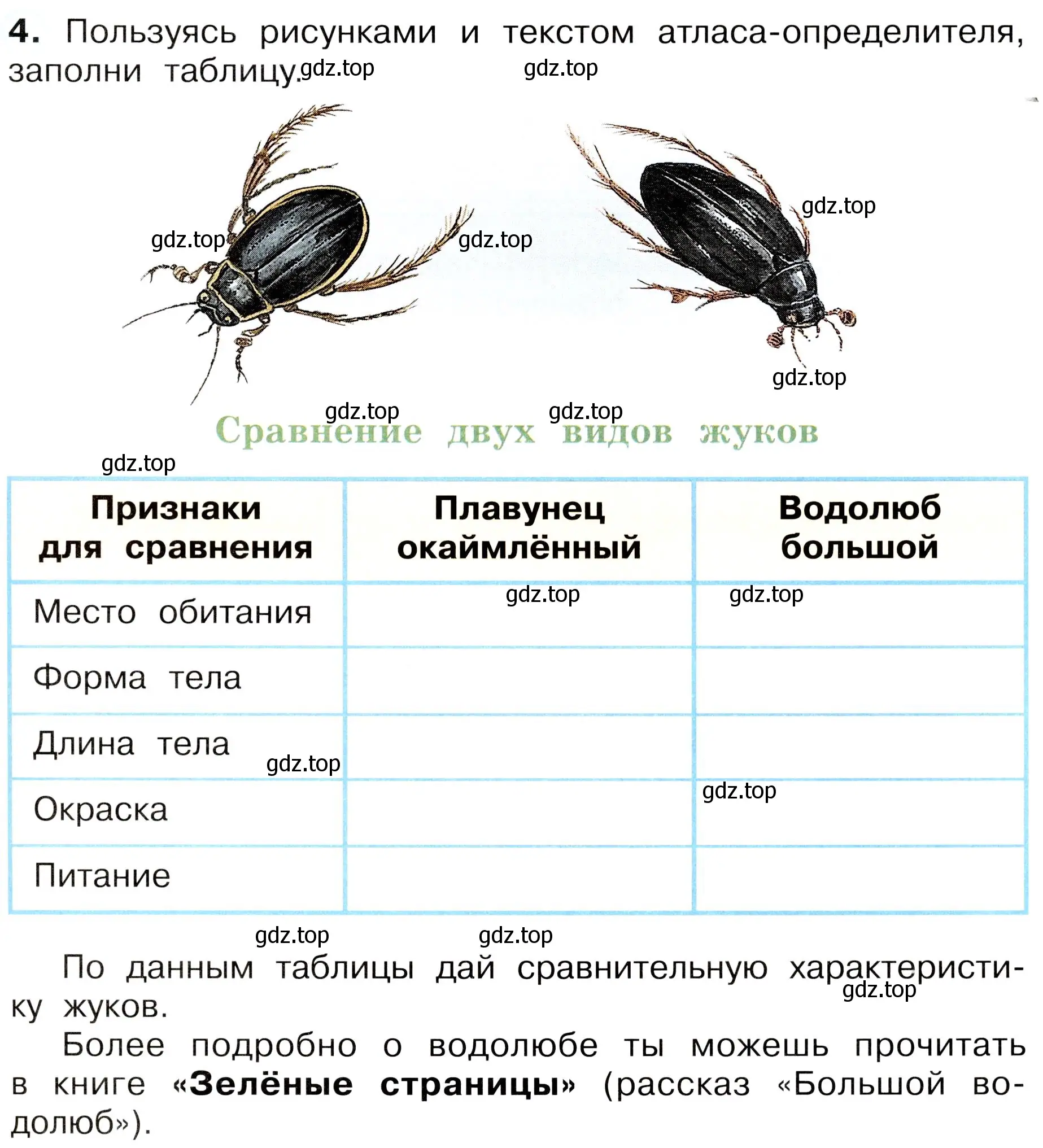 Условие номер 4 (страница 75) гдз по окружающему миру 3 класс Плешаков, Новицкая, рабочая тетрадь 1 часть