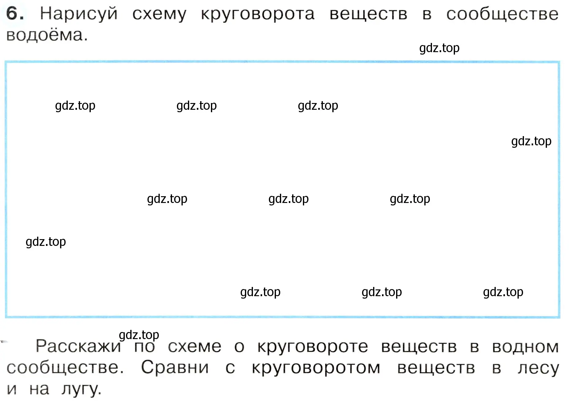 Условие номер 6 (страница 76) гдз по окружающему миру 3 класс Плешаков, Новицкая, рабочая тетрадь 1 часть