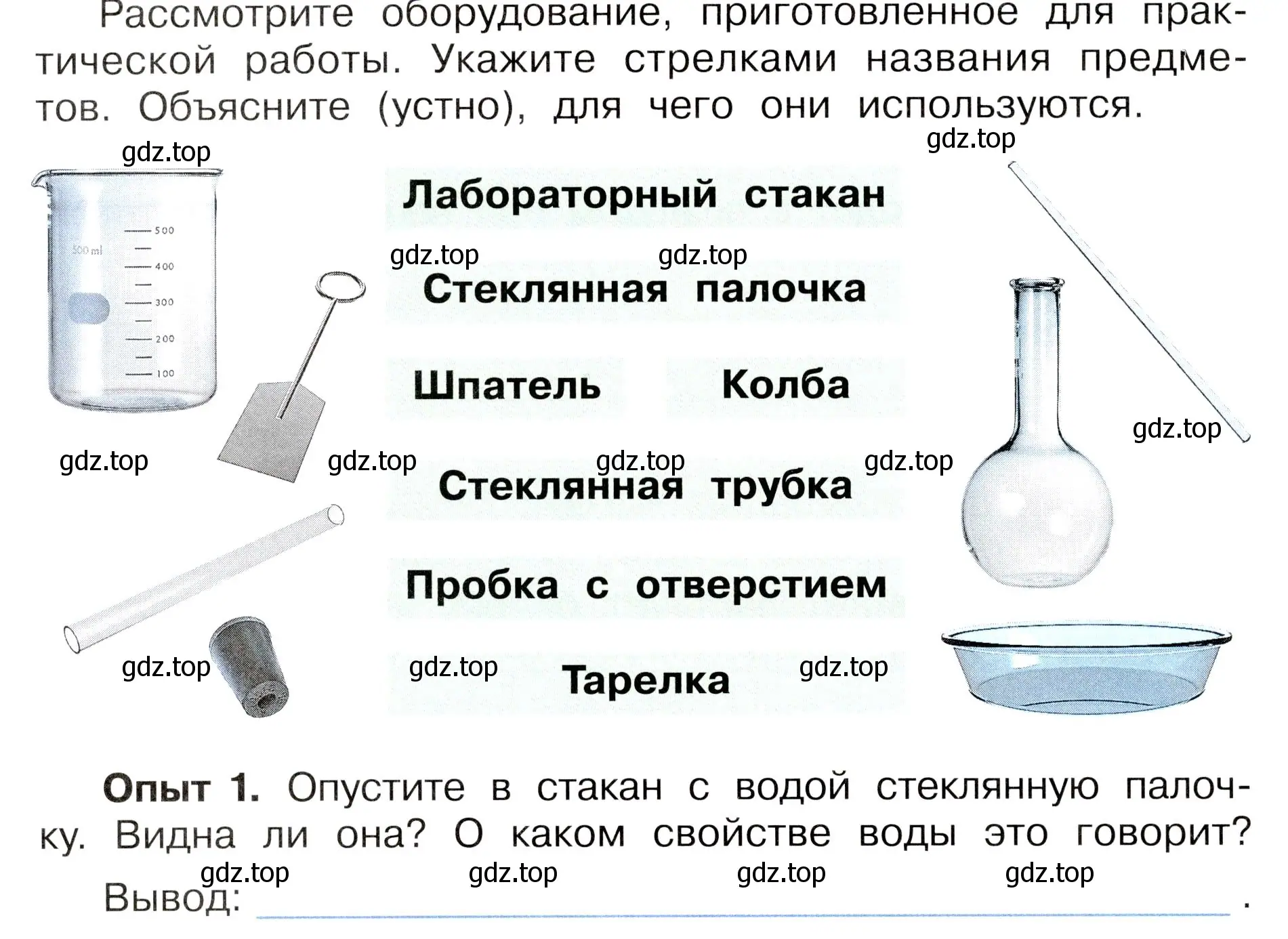 Условие номер 1 (страница 44) гдз по окружающему миру 3 класс Плешаков, Новицкая, рабочая тетрадь 1 часть