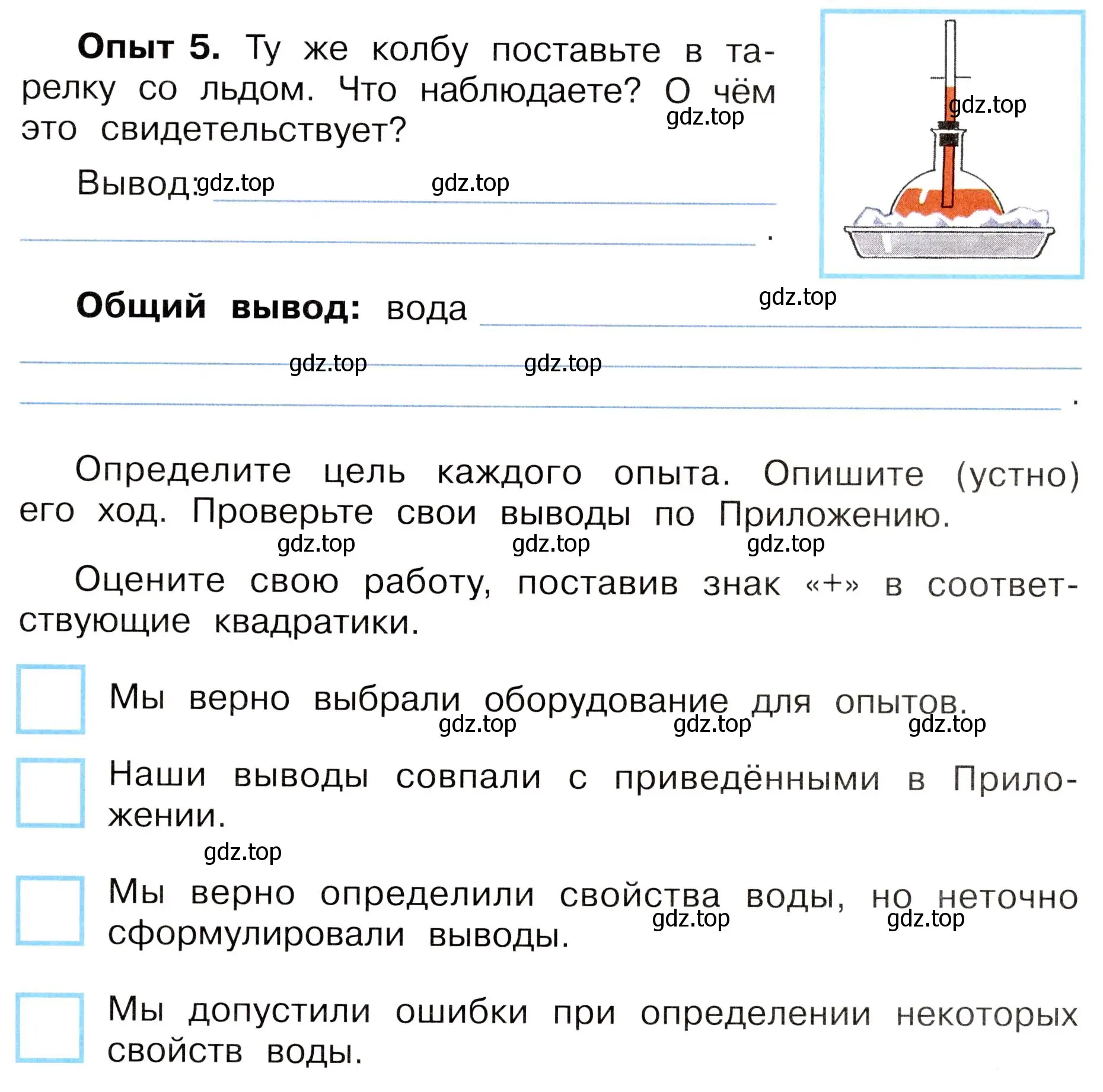 Условие номер 5 (страница 45) гдз по окружающему миру 3 класс Плешаков, Новицкая, рабочая тетрадь 1 часть