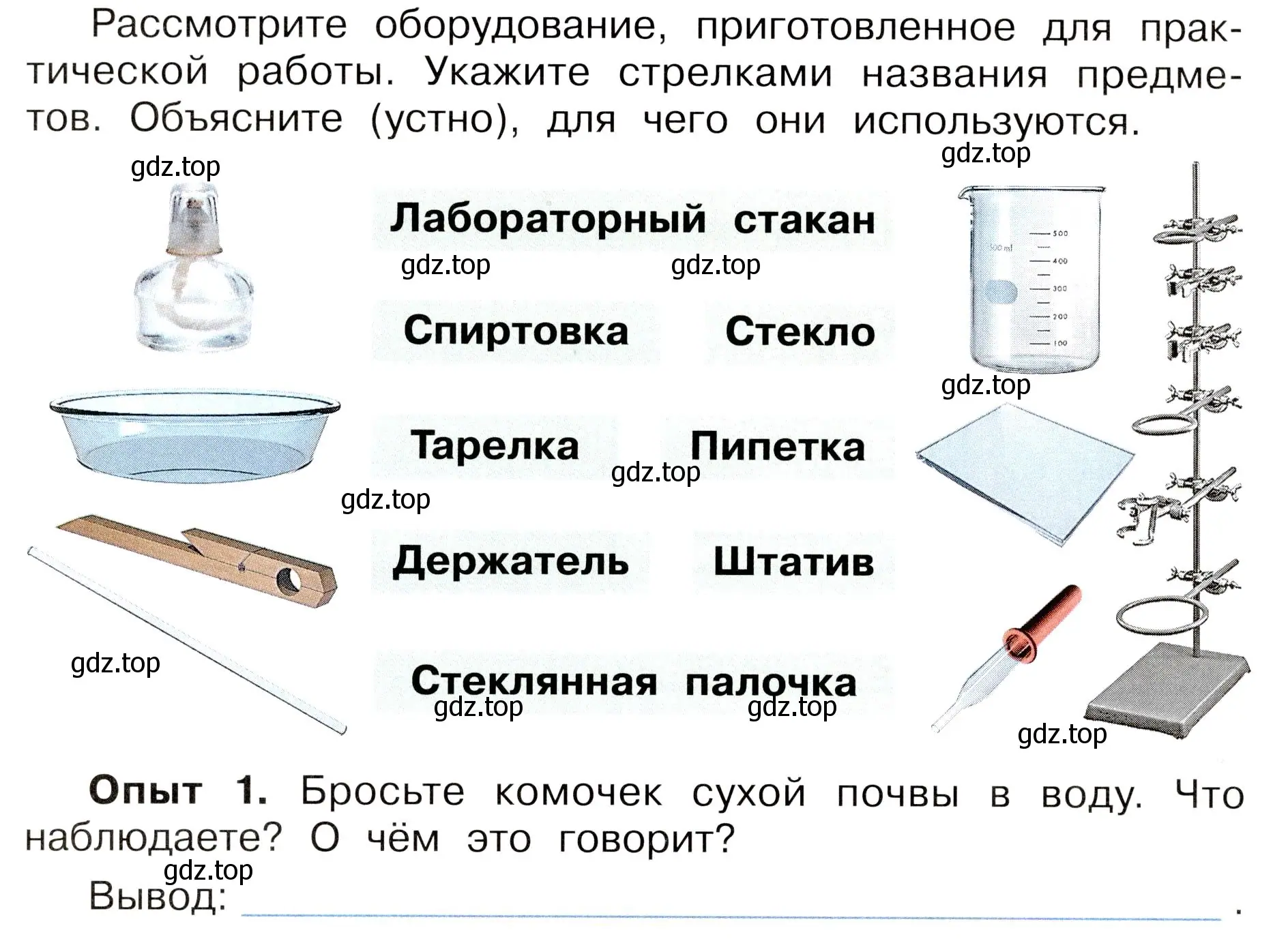 Условие номер 1 (страница 50) гдз по окружающему миру 3 класс Плешаков, Новицкая, рабочая тетрадь 1 часть