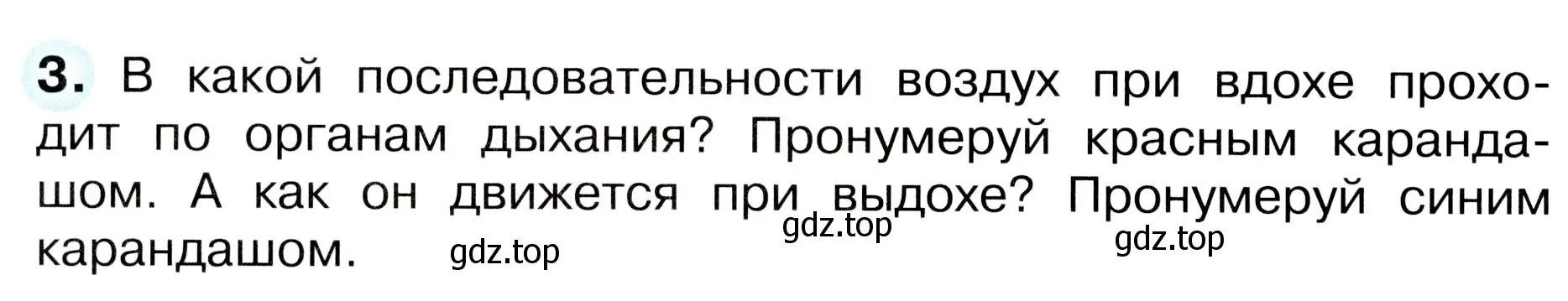 Условие номер 3 (страница 30) гдз по окружающему миру 3 класс Плешаков, Новицкая, рабочая тетрадь 2 часть