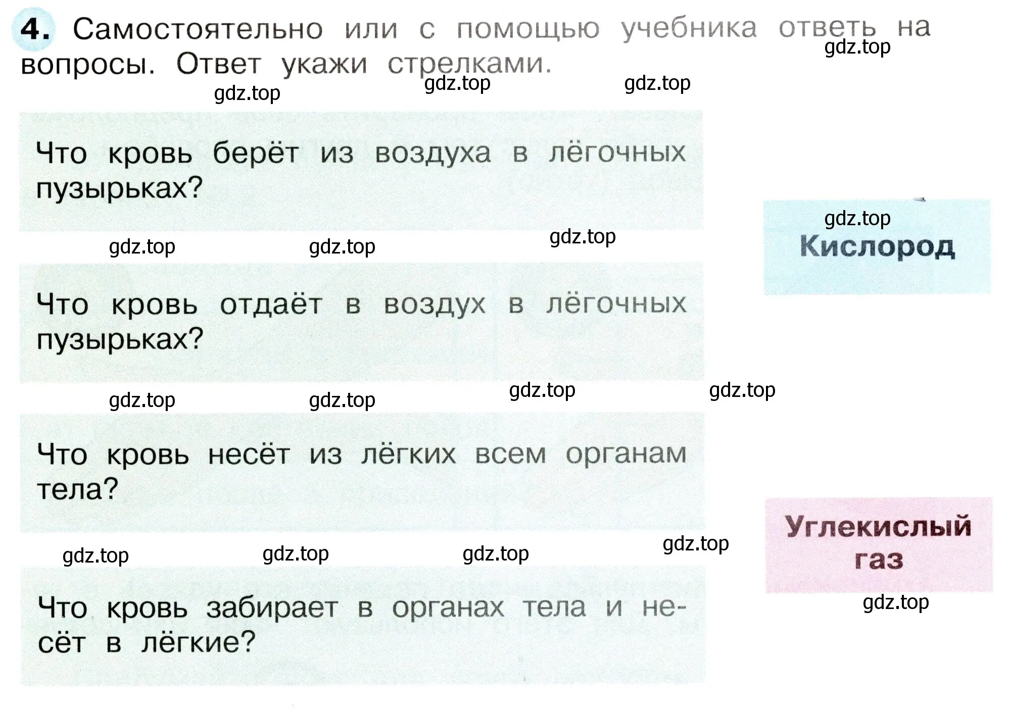 Условие номер 4 (страница 31) гдз по окружающему миру 3 класс Плешаков, Новицкая, рабочая тетрадь 2 часть