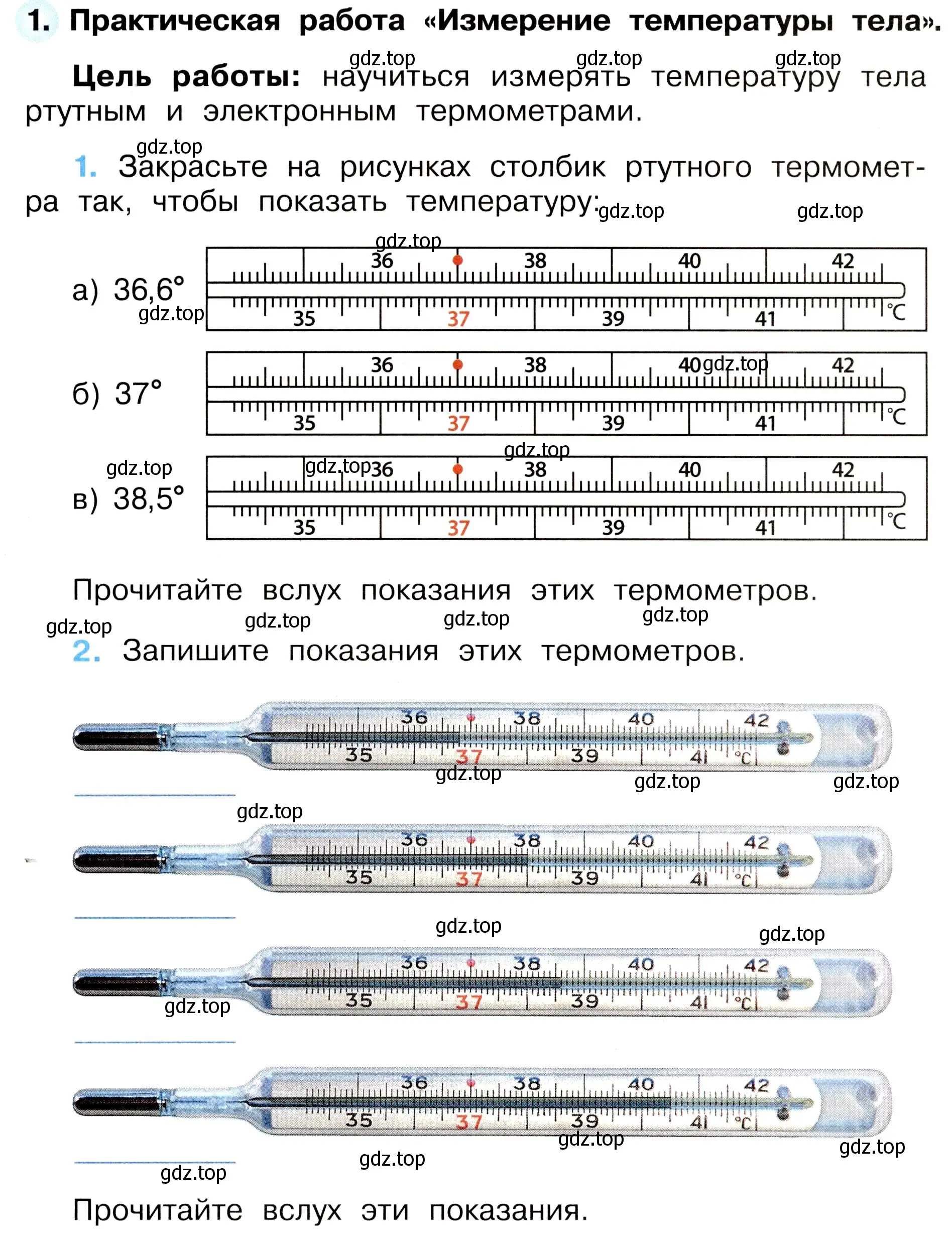 Условие номер 1 (страница 40) гдз по окружающему миру 3 класс Плешаков, Новицкая, рабочая тетрадь 2 часть