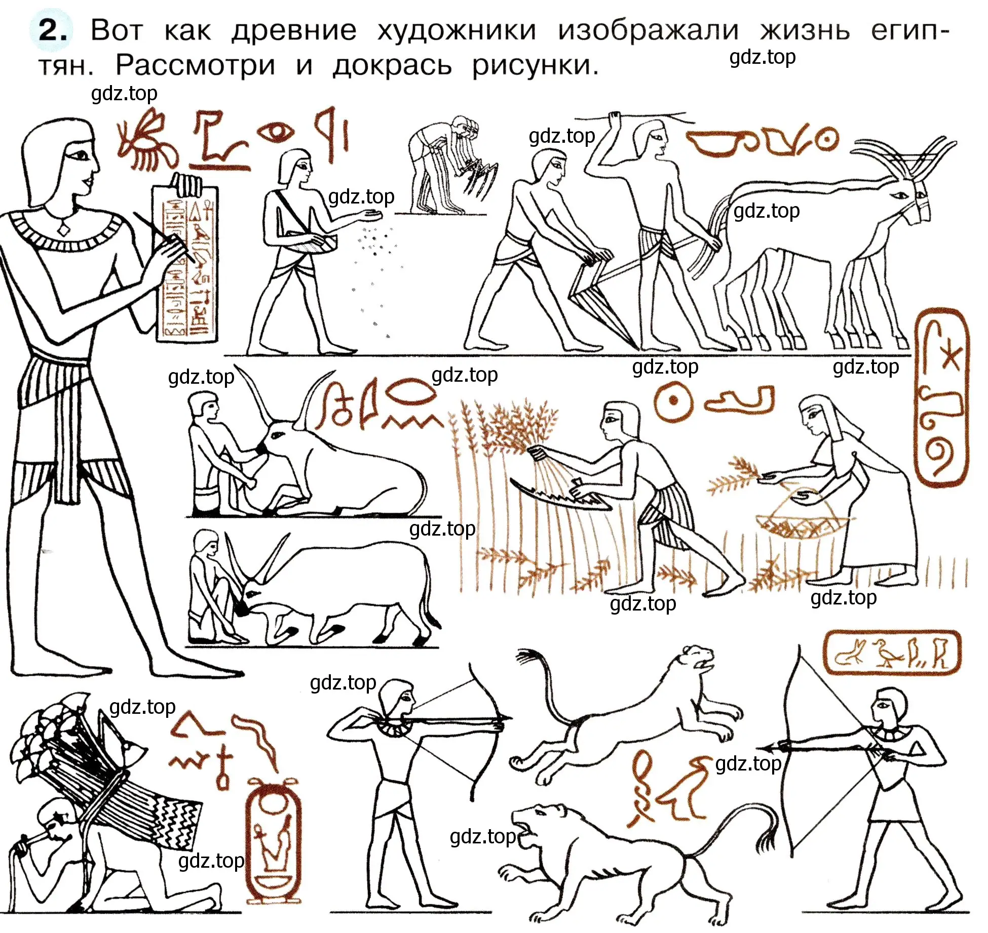 Условие номер 2 (страница 66) гдз по окружающему миру 3 класс Плешаков, Новицкая, рабочая тетрадь 2 часть