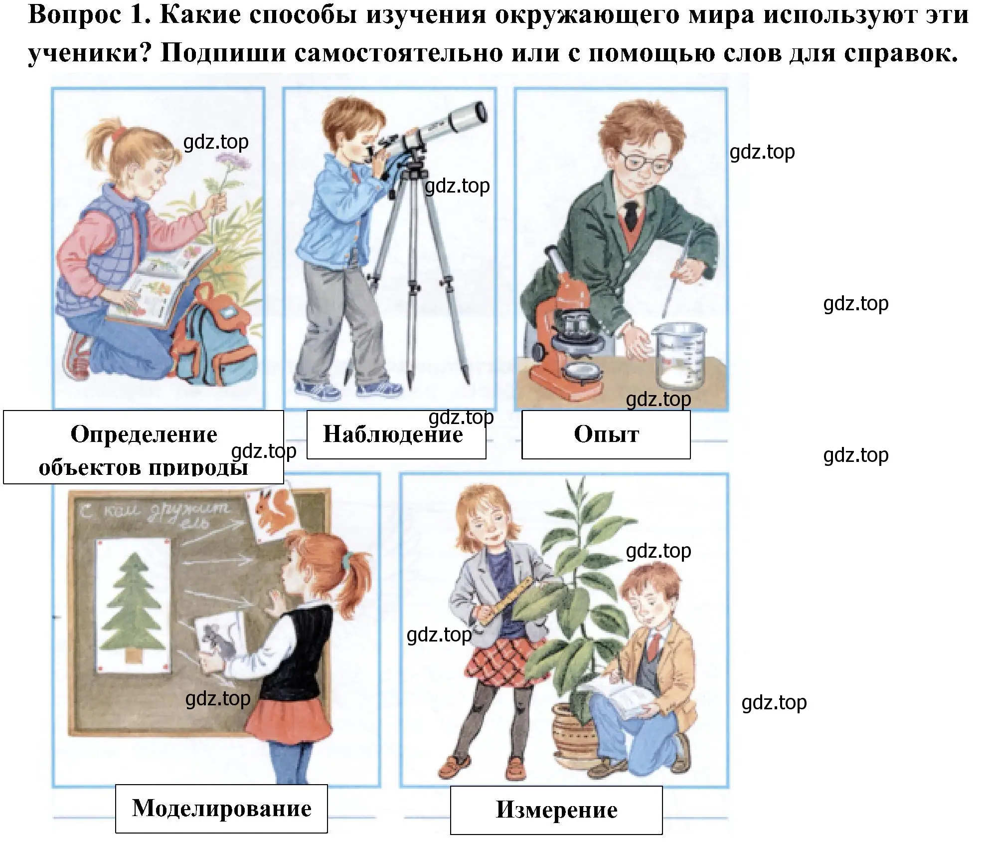 Решение номер 1 (страница 6) гдз по окружающему миру 3 класс Плешаков, Новицкая, рабочая тетрадь 1 часть