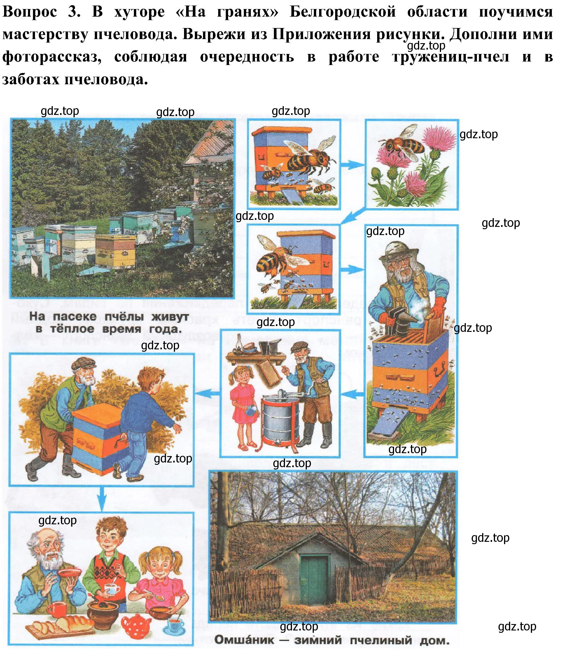 Решение номер 3 (страница 27) гдз по окружающему миру 3 класс Плешаков, Новицкая, рабочая тетрадь 1 часть